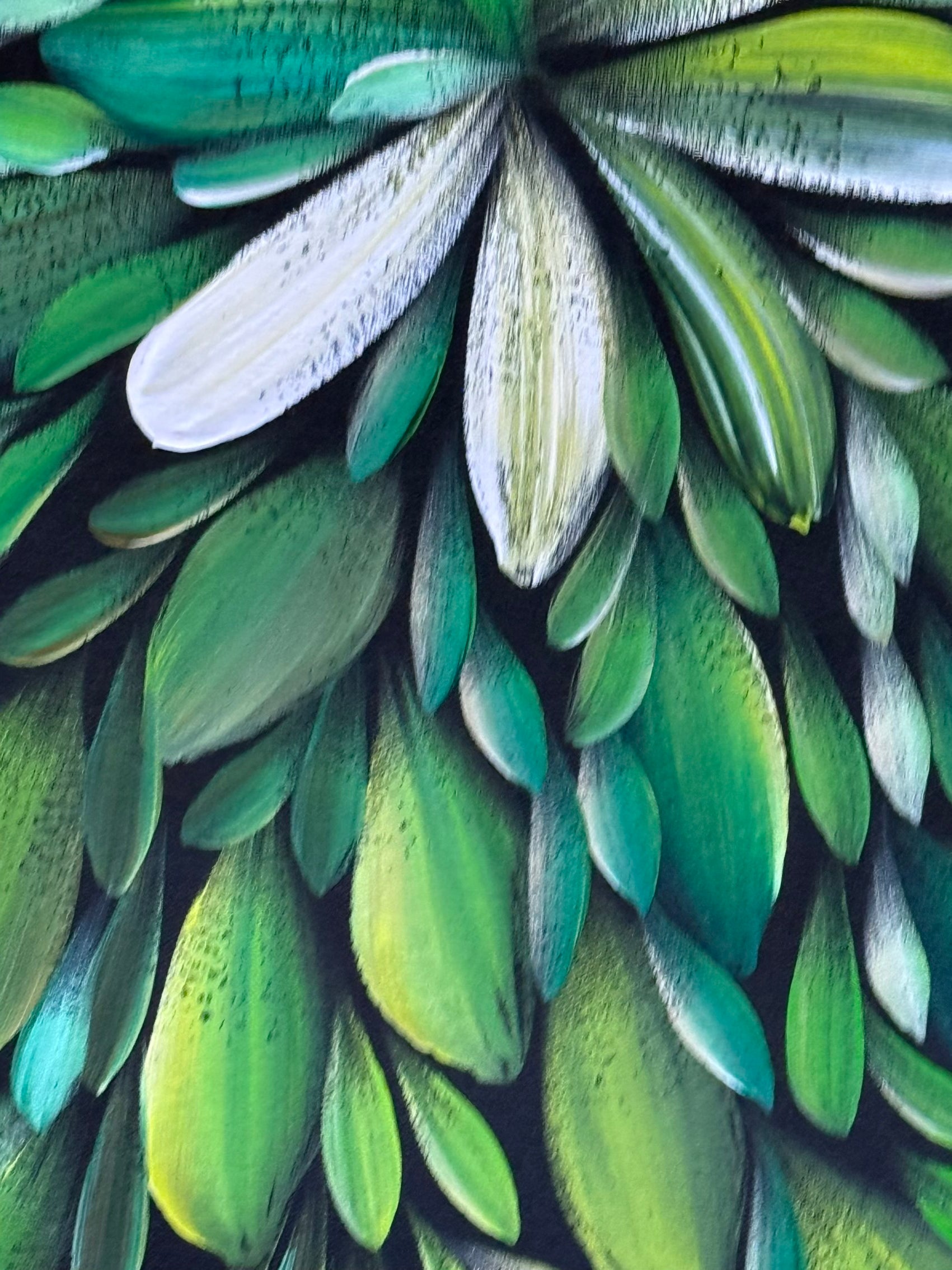 Louise Numina Napananka - Bush Medicine Leaves .49-7