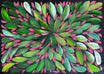 Louise Numina Napananka - Bush Medicine Leaves .22-3