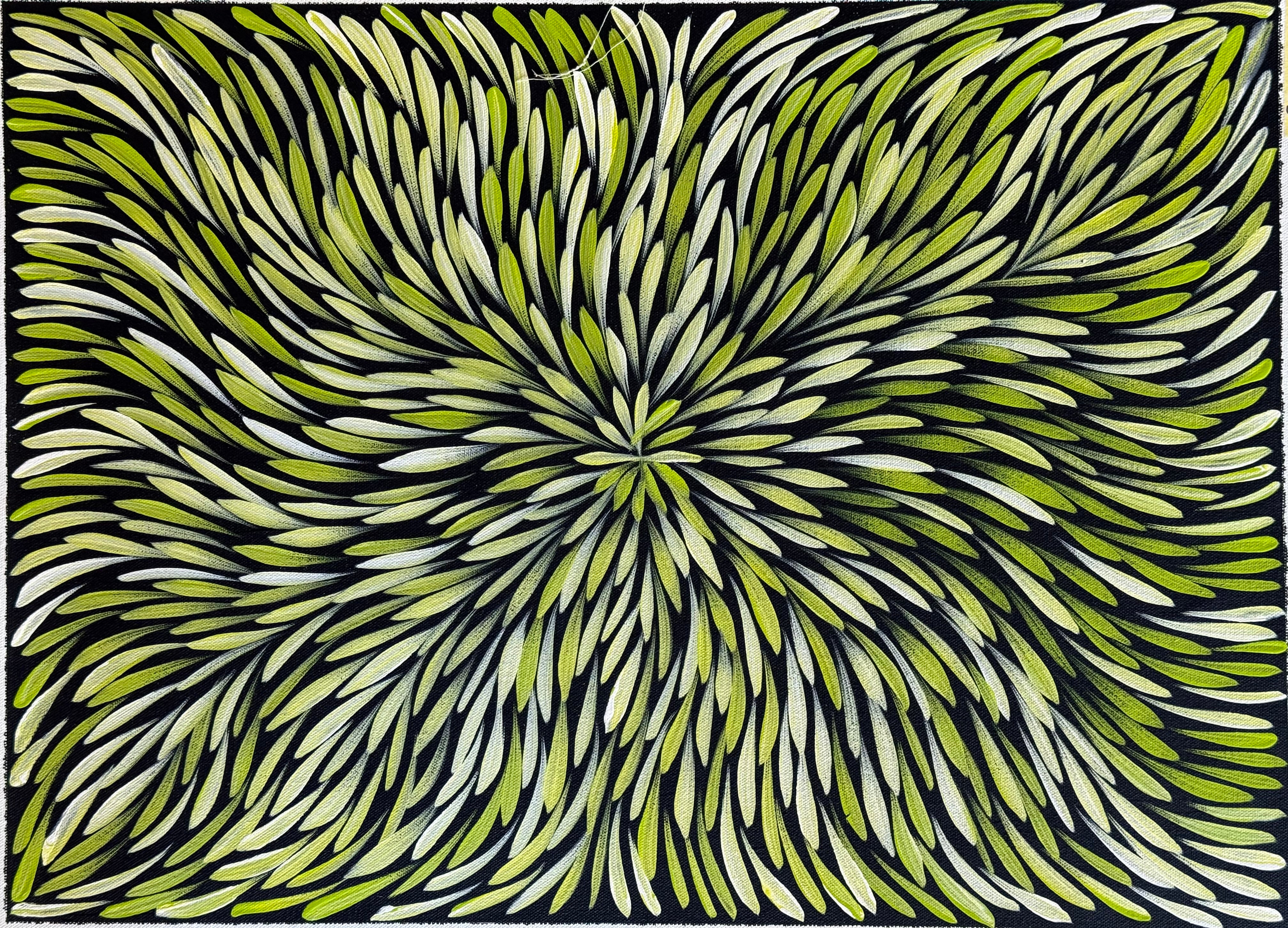 Sharon Numina - Bush Medicine Leaves .14-68