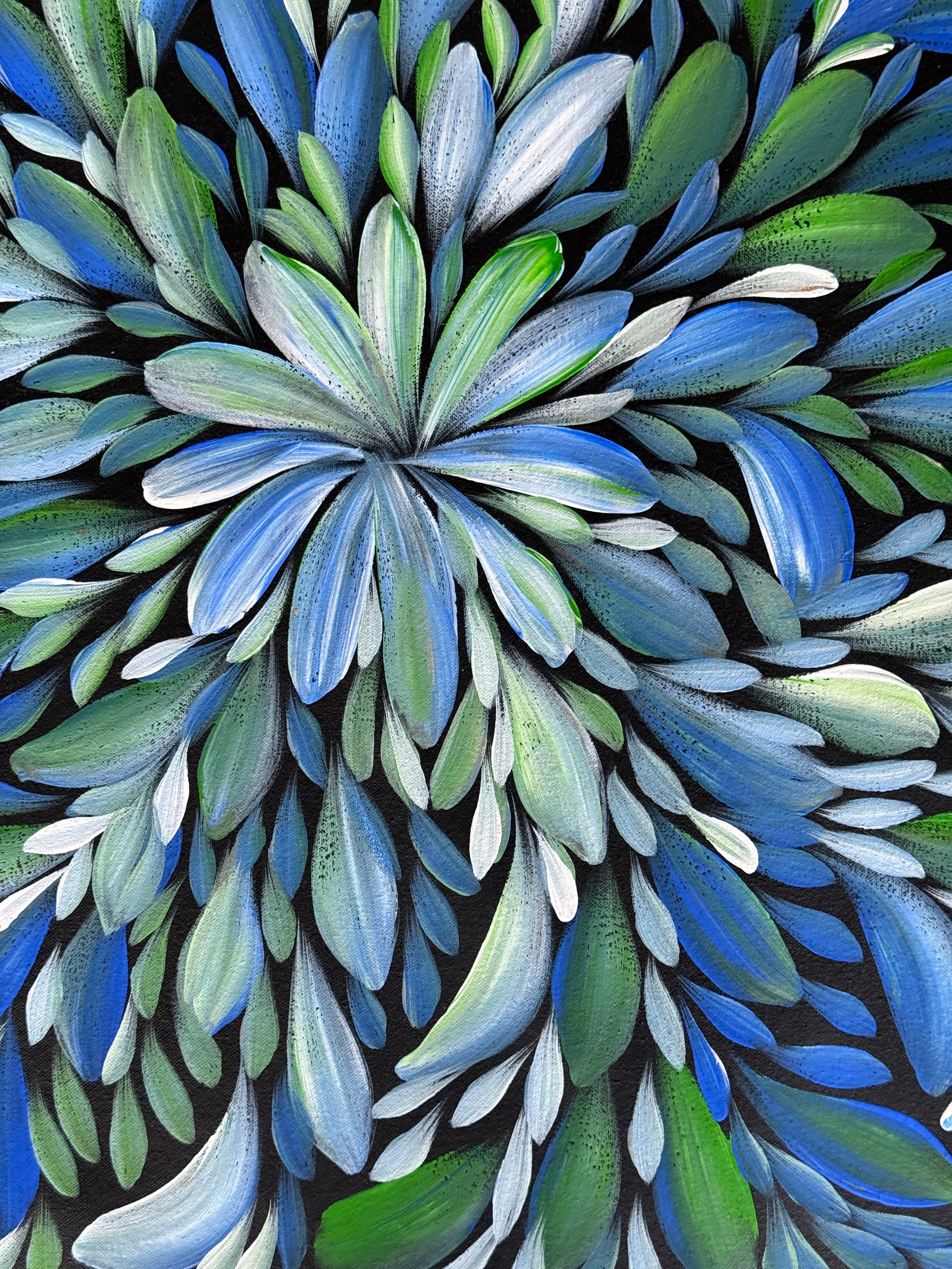 Louise Numina Napananka - Bush Medicine Leaves .16-51