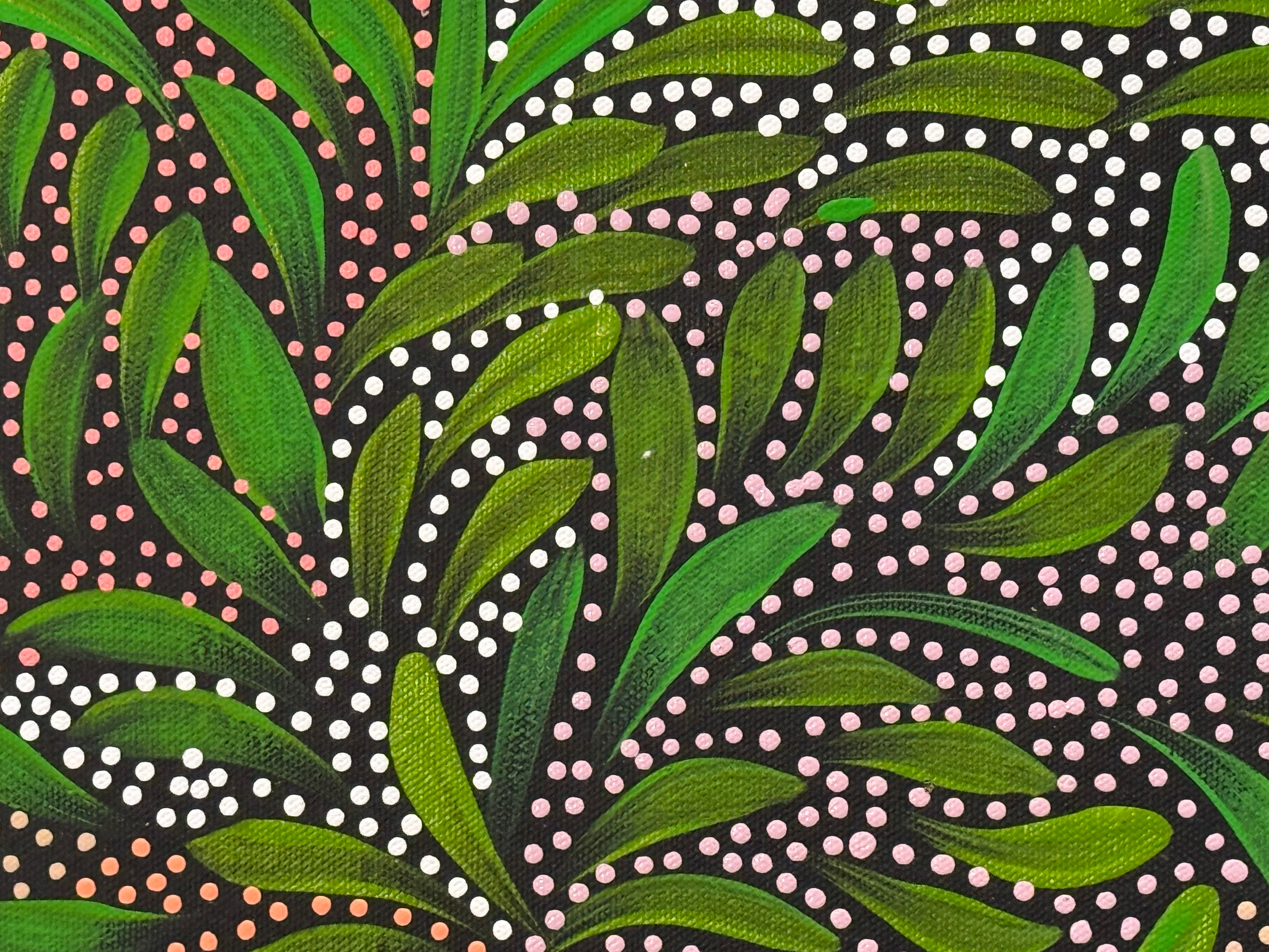 Caroline Numina - Bush Medicine Leaves and Seeds .04-16