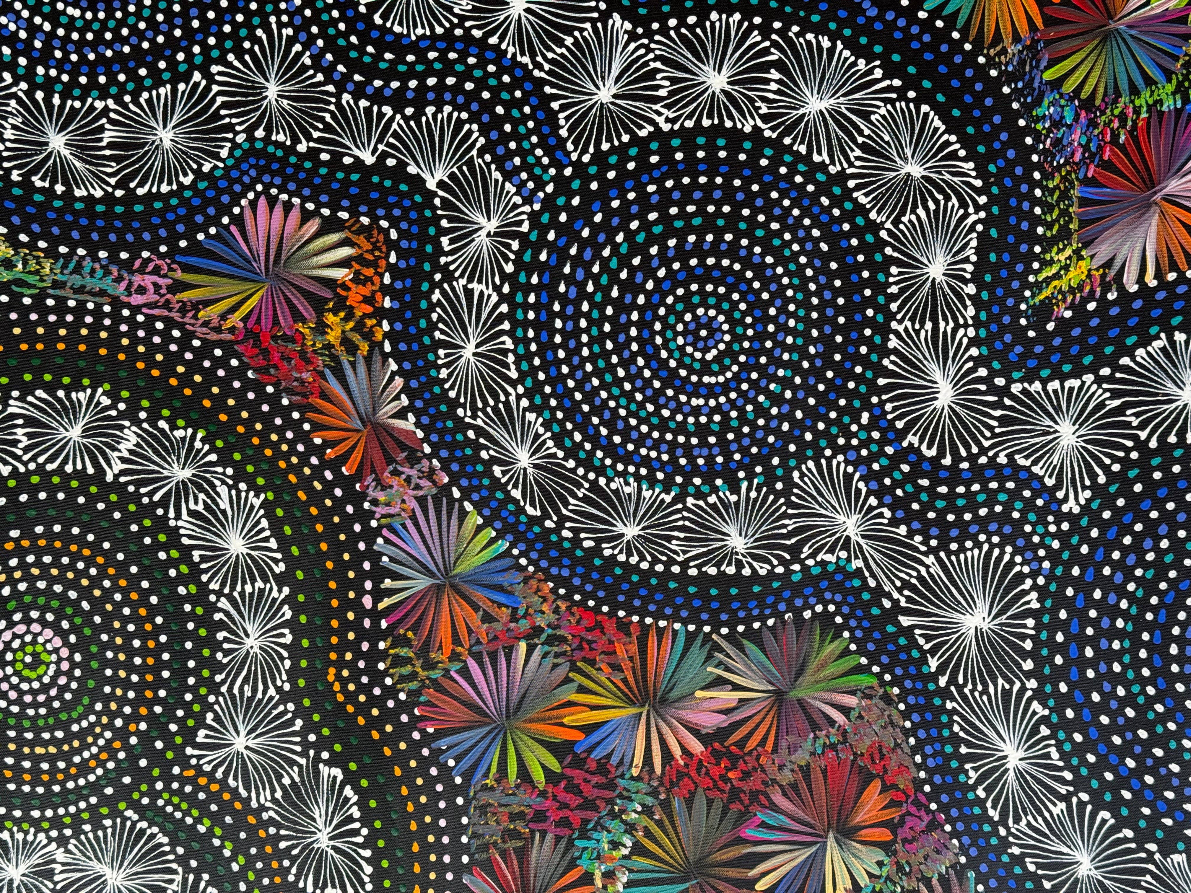 Selina Numina Kamprina - Seeds and Waterholes .92-24