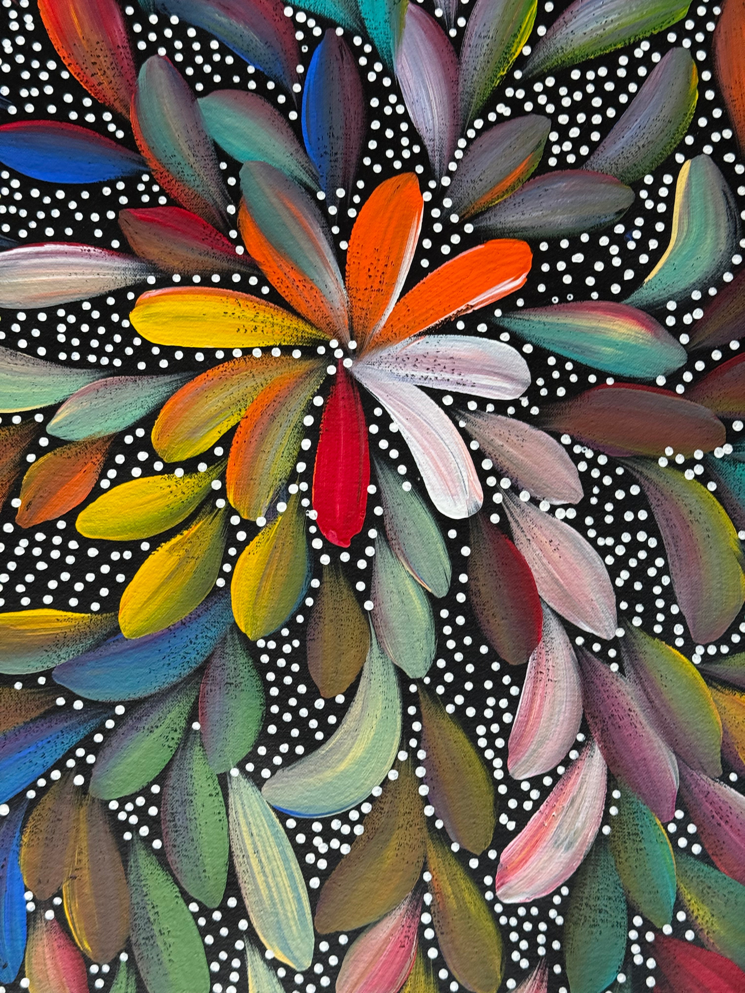 Louise Numina Napananka - Bush Medicine Leaves and Seeds .16-53