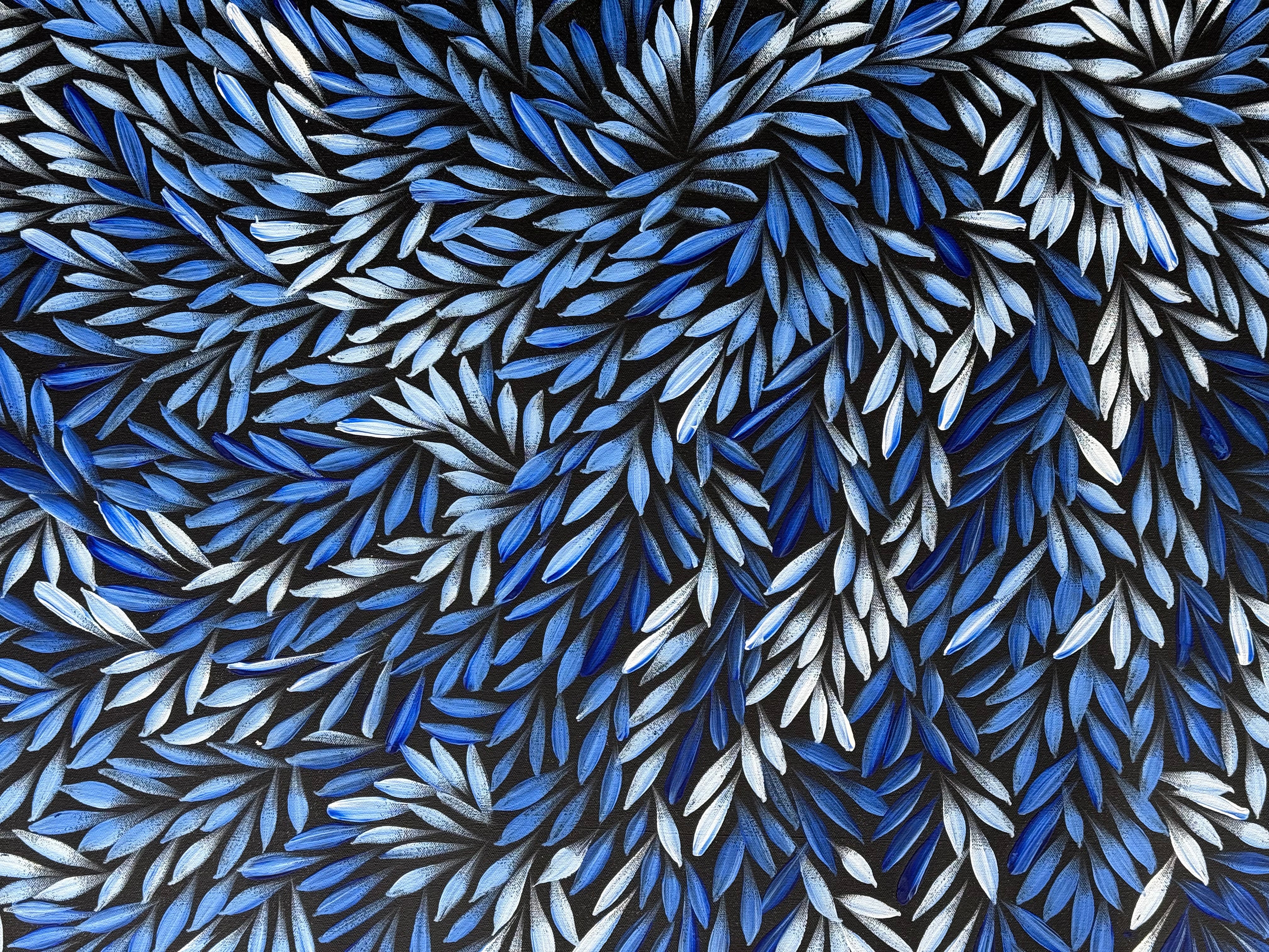 Sharon Numina - Bush Medicine Leaves .83-3