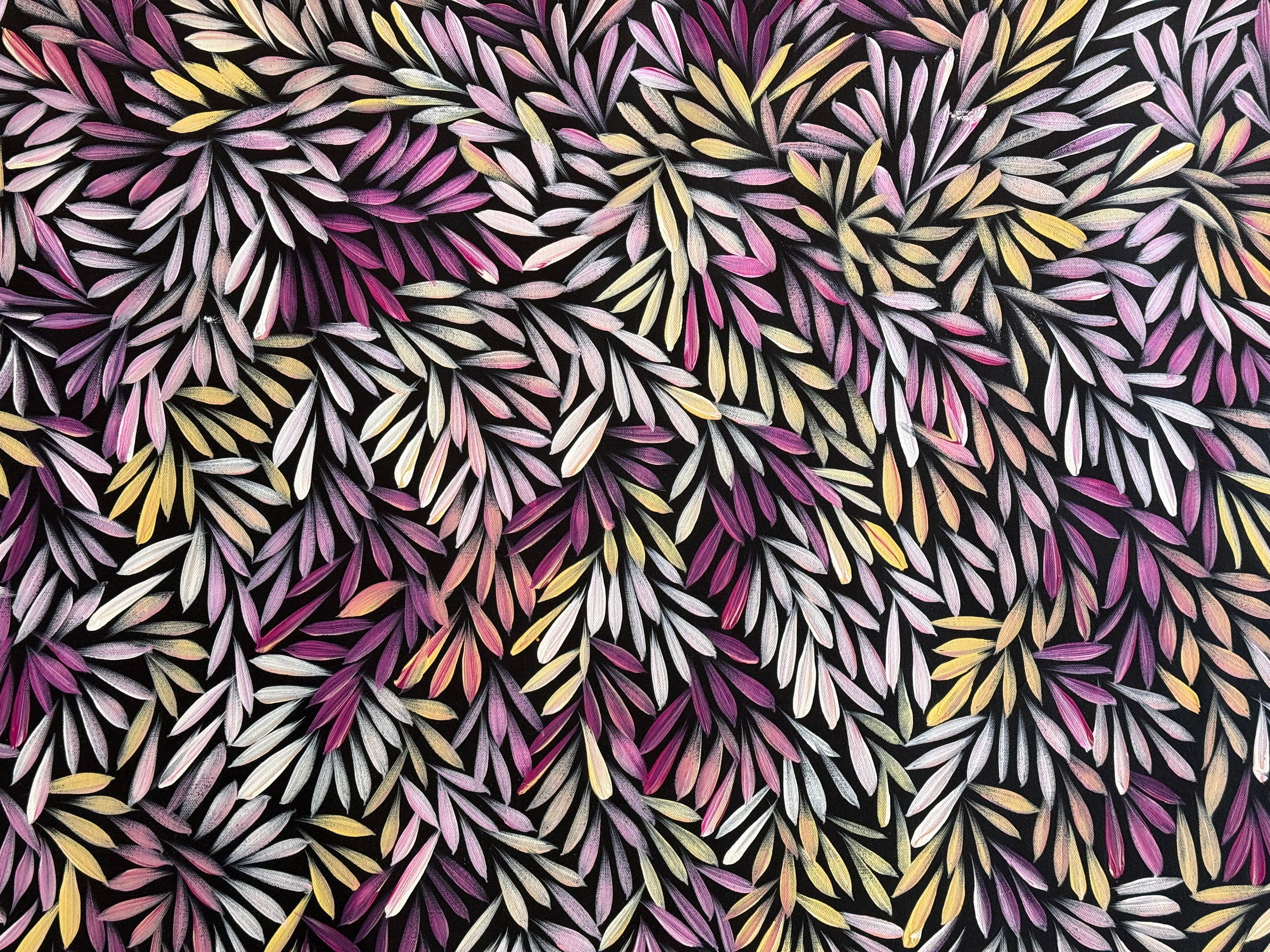 Sharon Numina - Bush Medicine Leaves - 147x85cm .14-32
