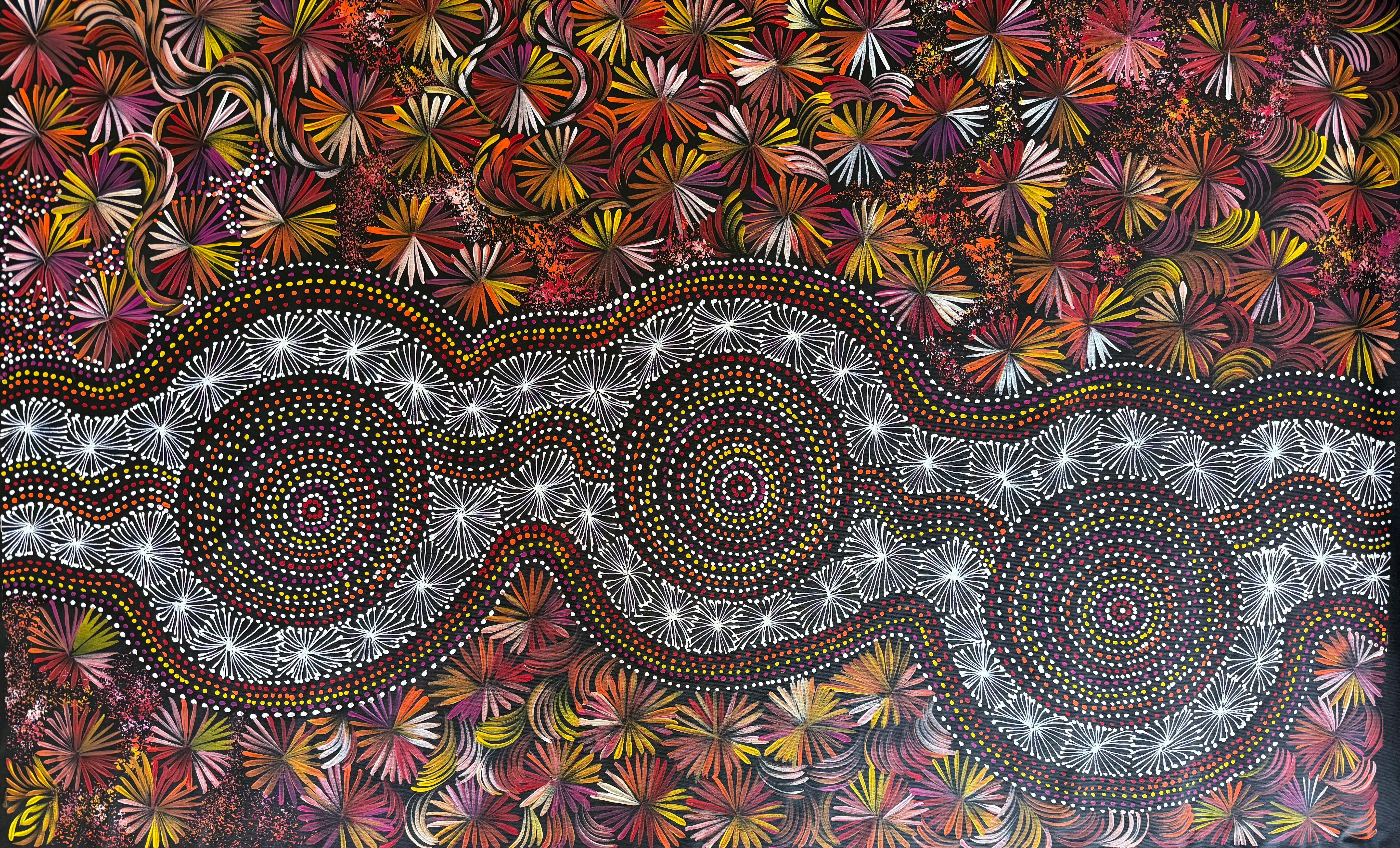 Selina Numina Kamprina - Seeds and Waterholes .92-23