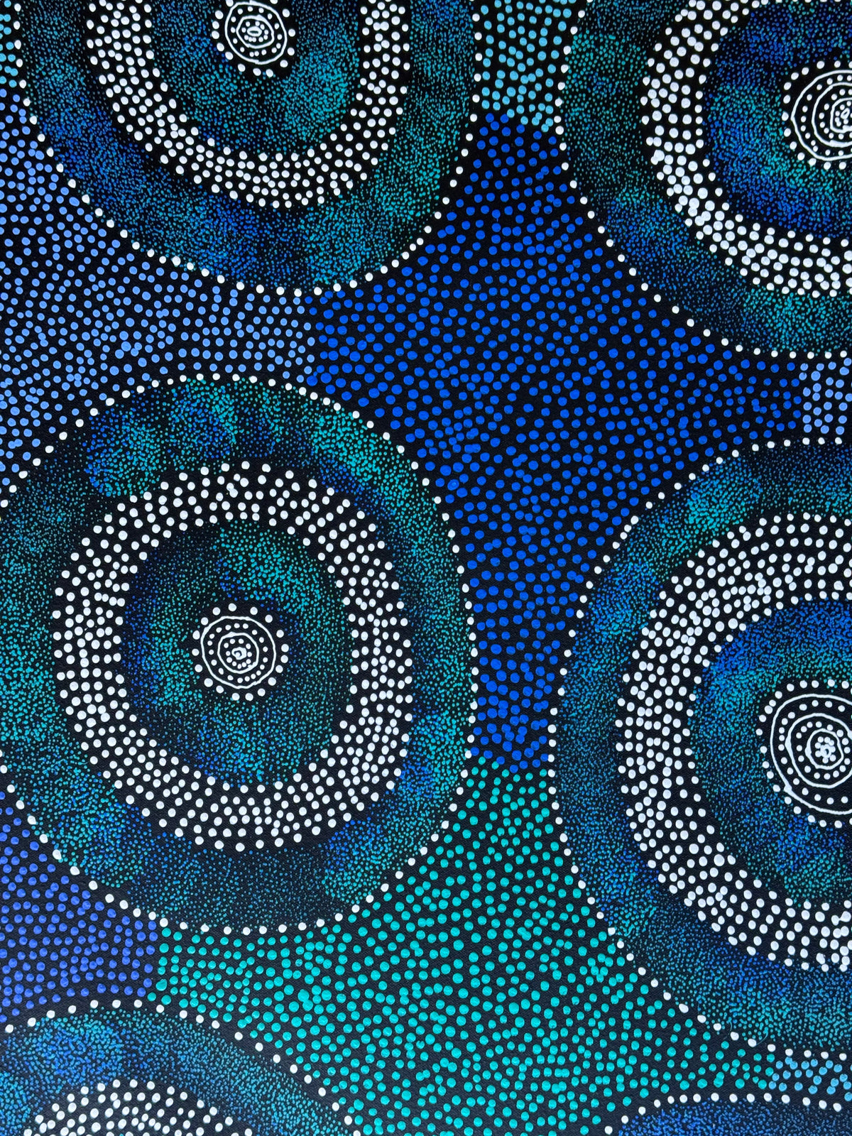 Sharon Turner - Thorny Lizard .50-1