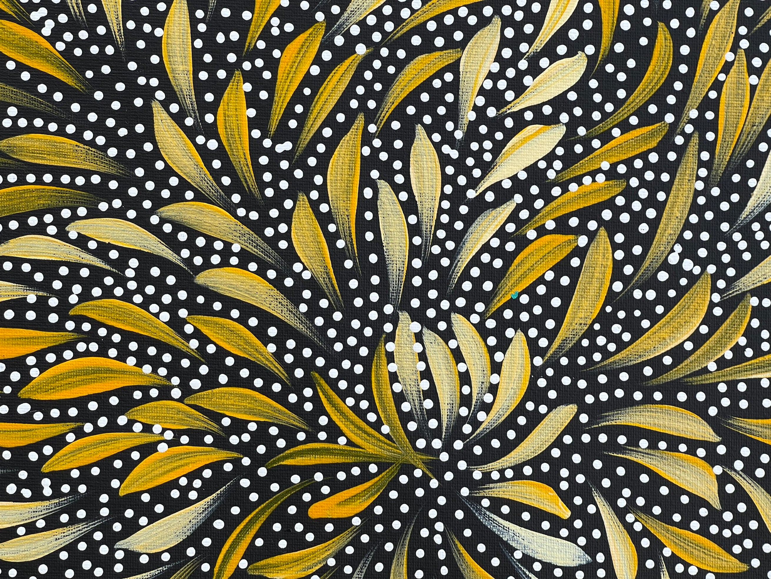 Caroline Numina - Bush Medicine Leaves and Seeds - 52x36cm .25-29