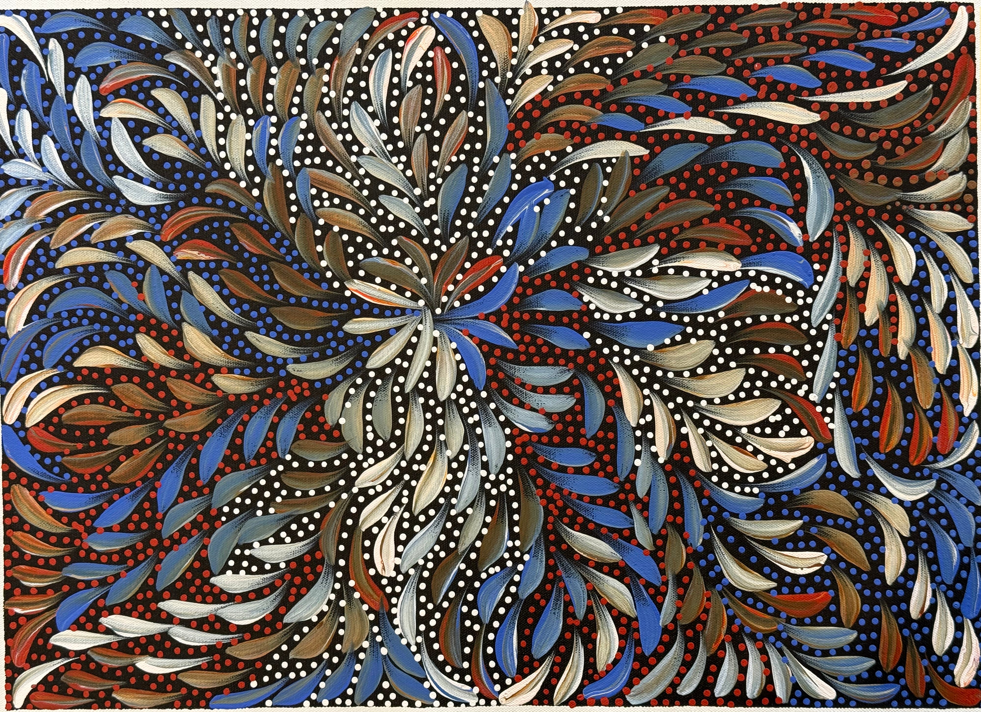 Caroline Numina - Bush Medicine Leaves and Seeds .04-21