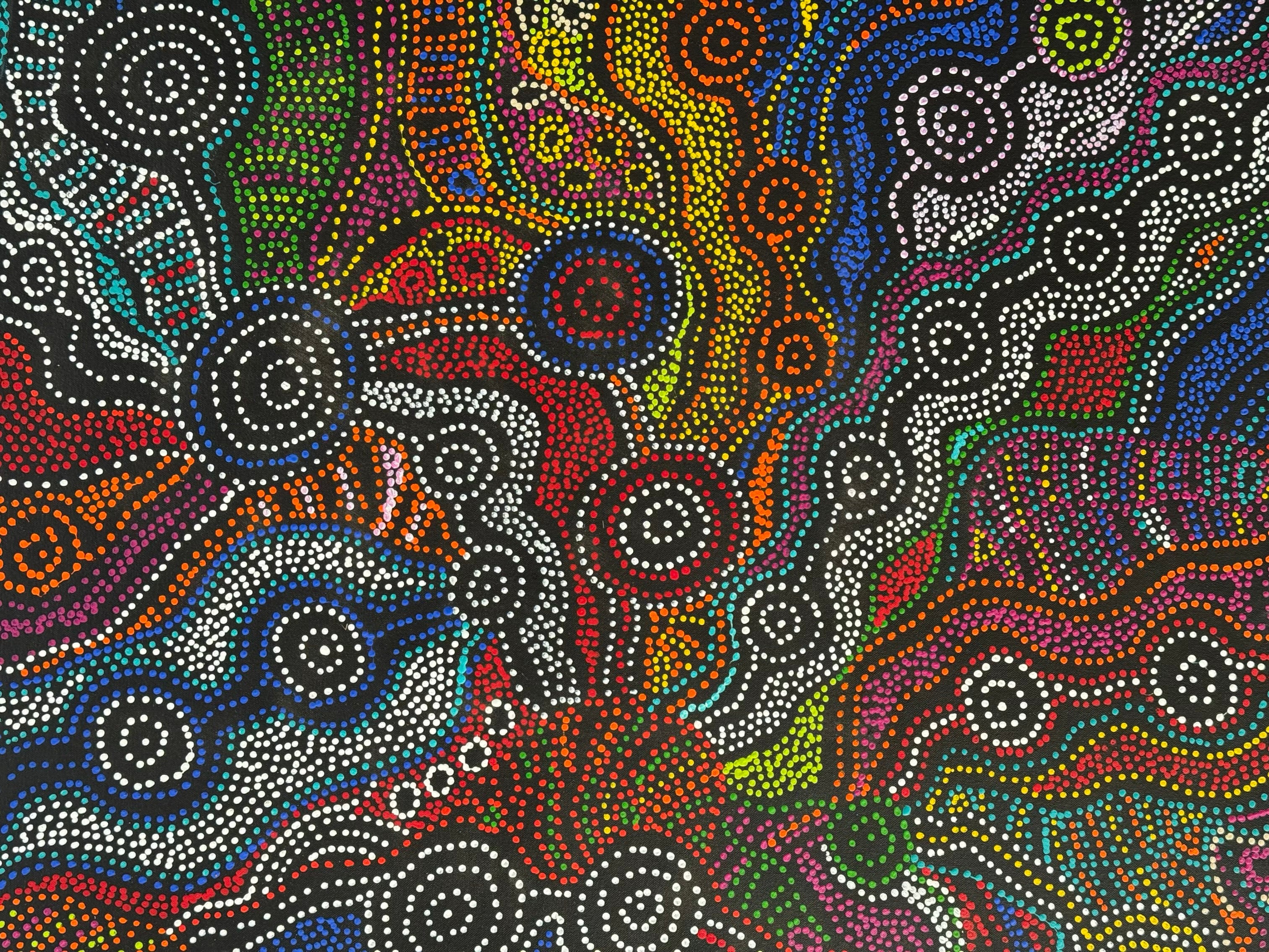 Louise Numina Napananka - Emu Dreaming .65-14