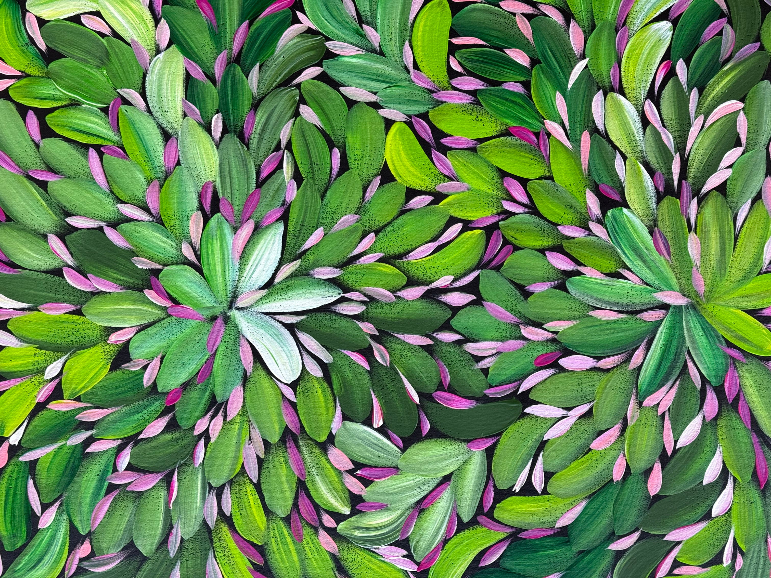 Louise Numina Napananka - Bush Medicine Leaves .23-2