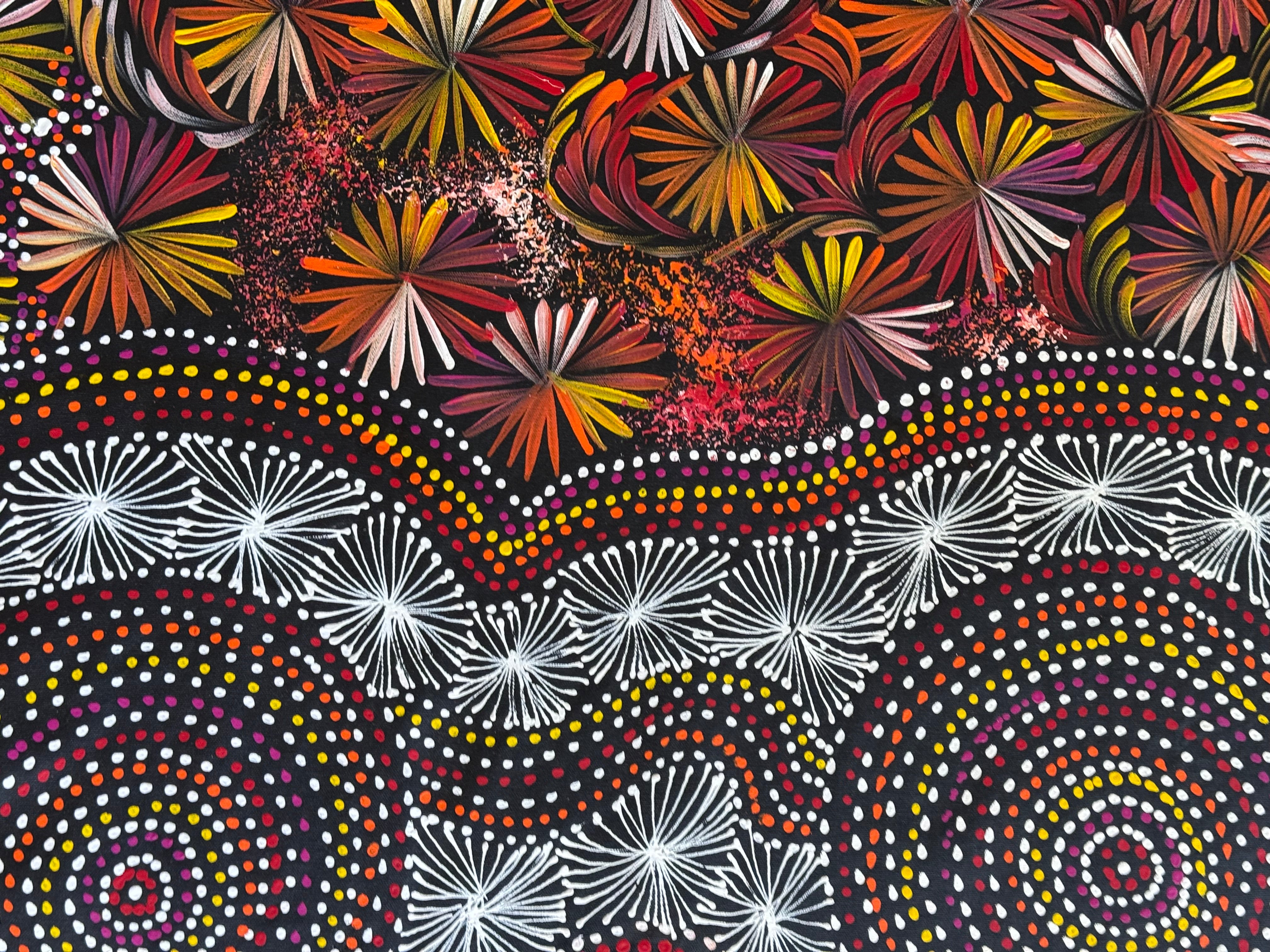 Selina Numina Kamprina - Seeds and Waterholes .92-23