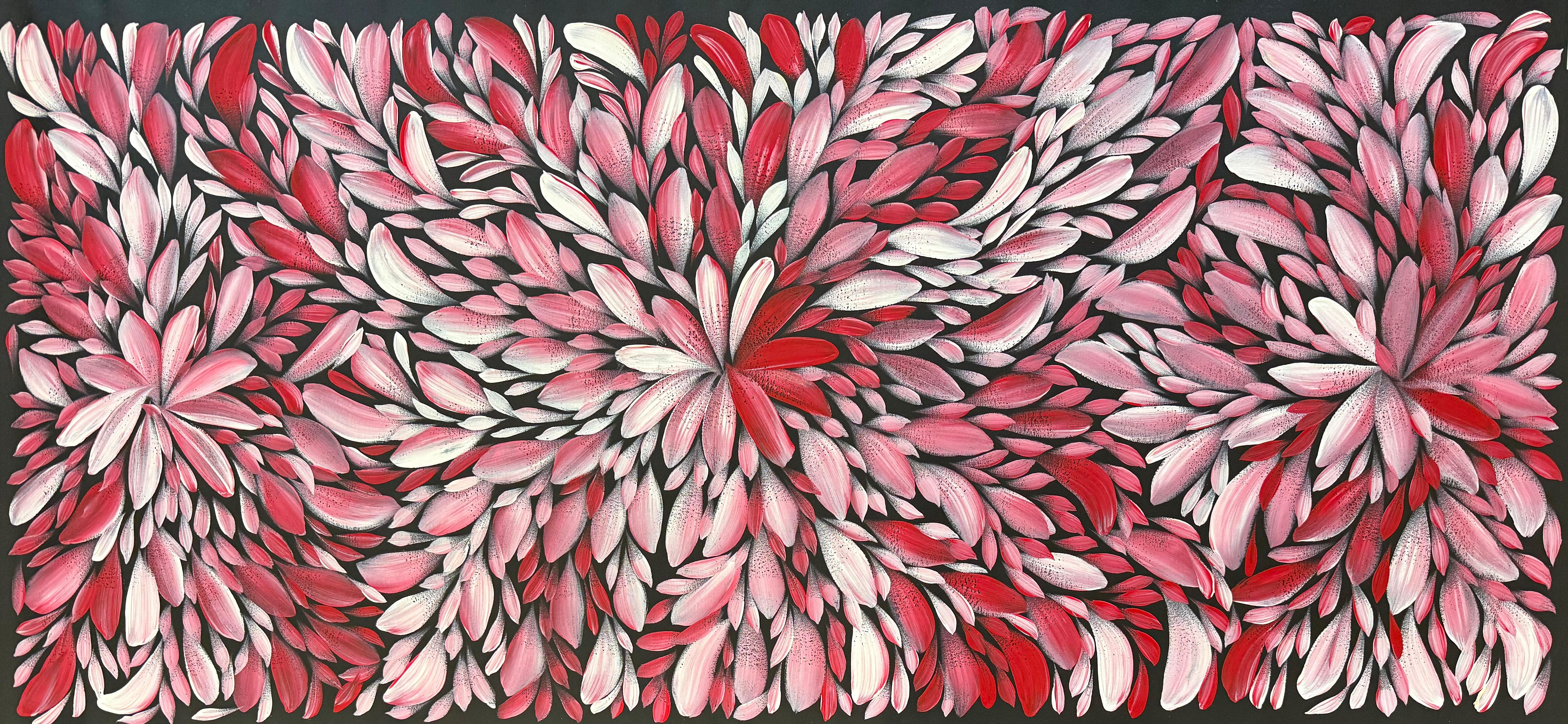 Louise Numina Napananka - Bush Medicine Leaves .21-2