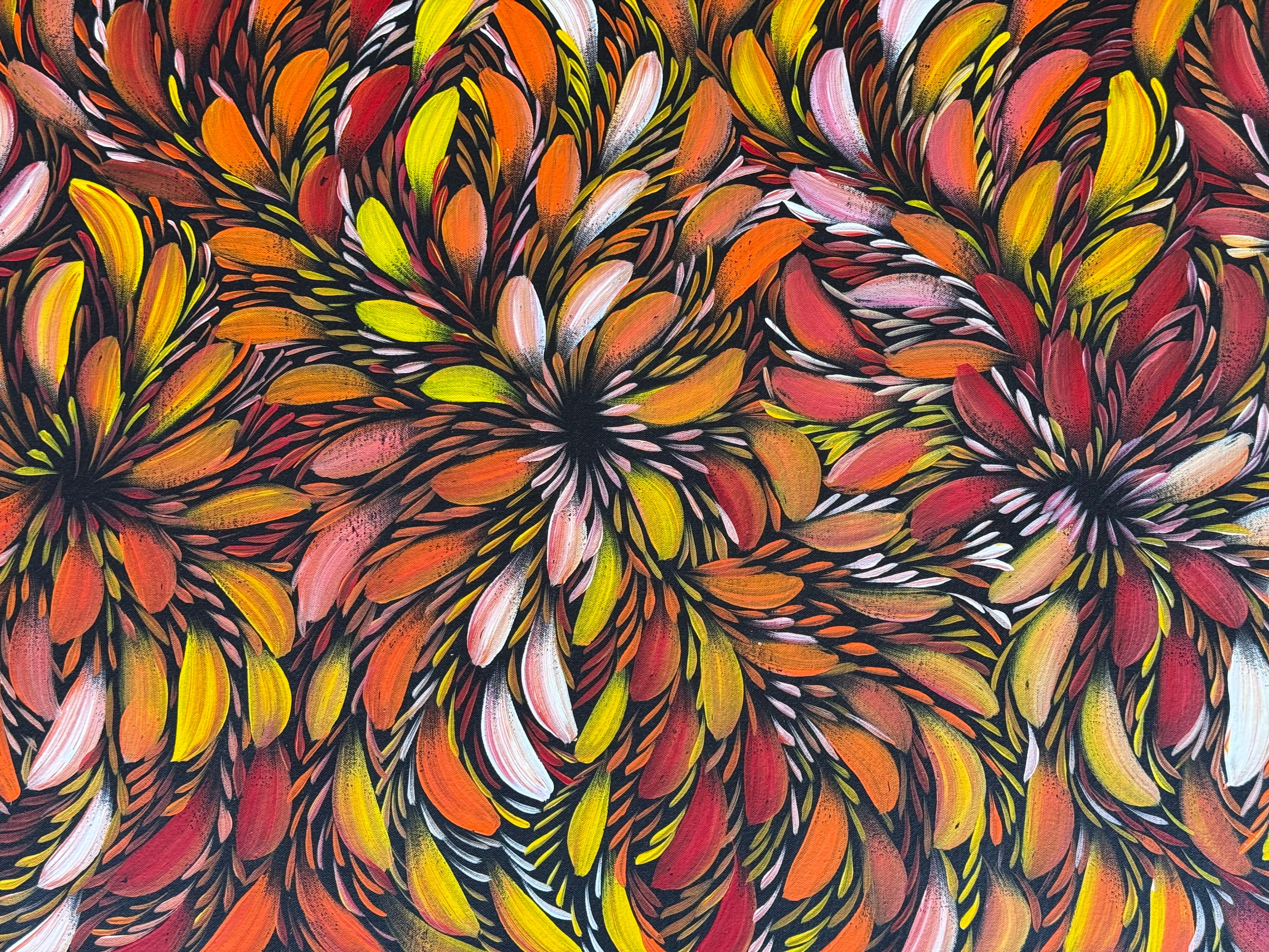Selina Numina Kamprina - Bush Medicine Leaves .37-6