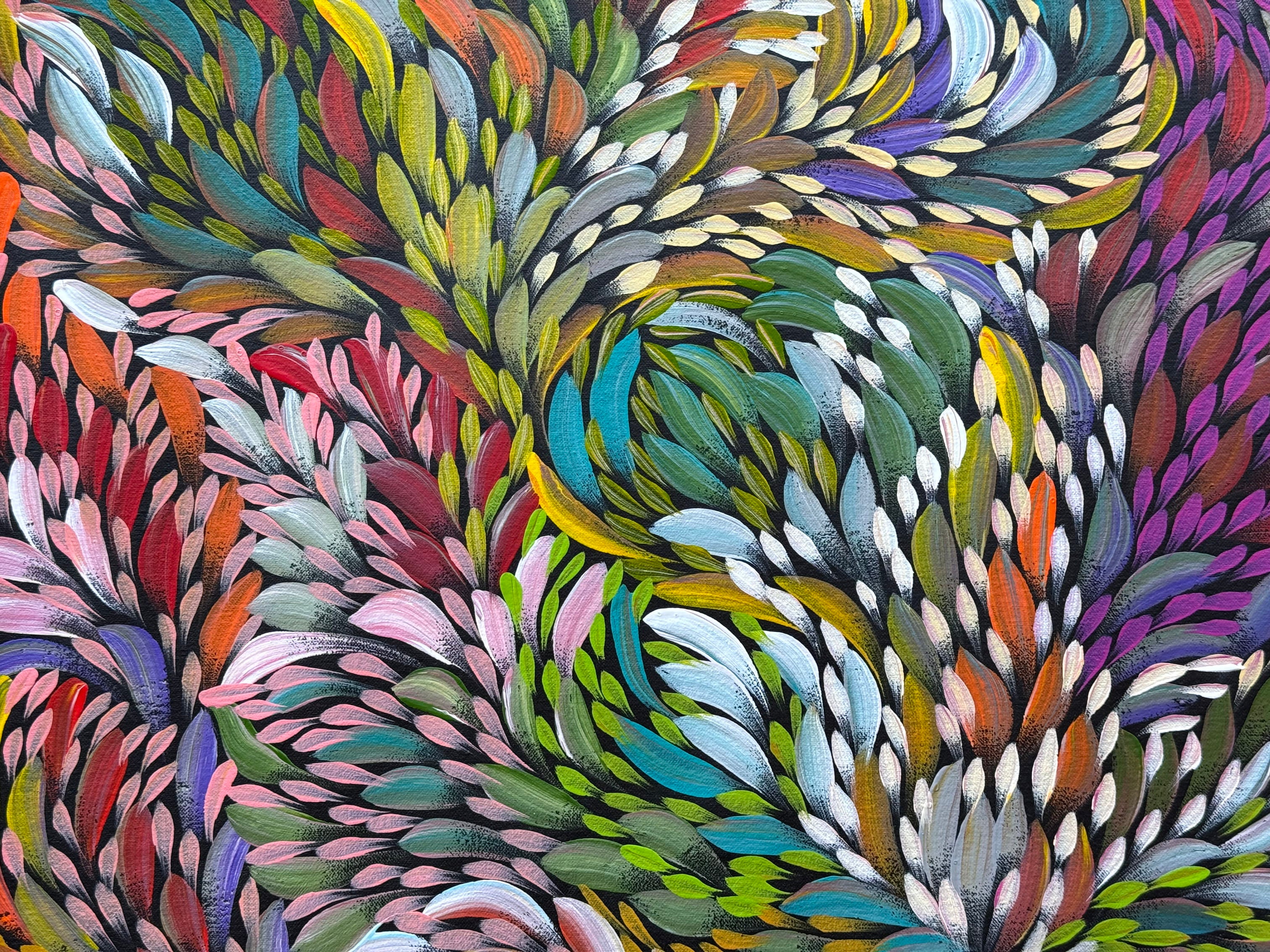 Caroline Numina - Bush Medicine Leaves .36-1