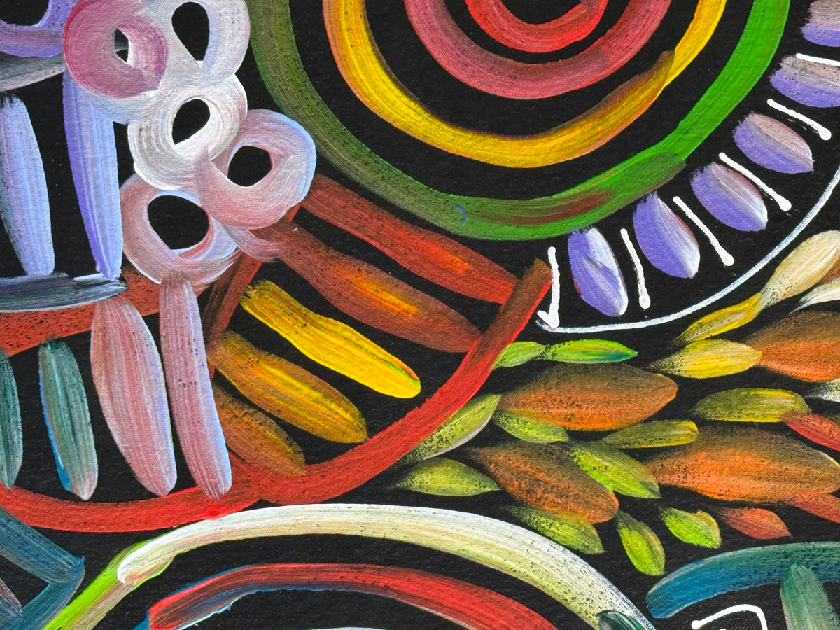 Louise Numina Napananka - Dreamtime .28-12