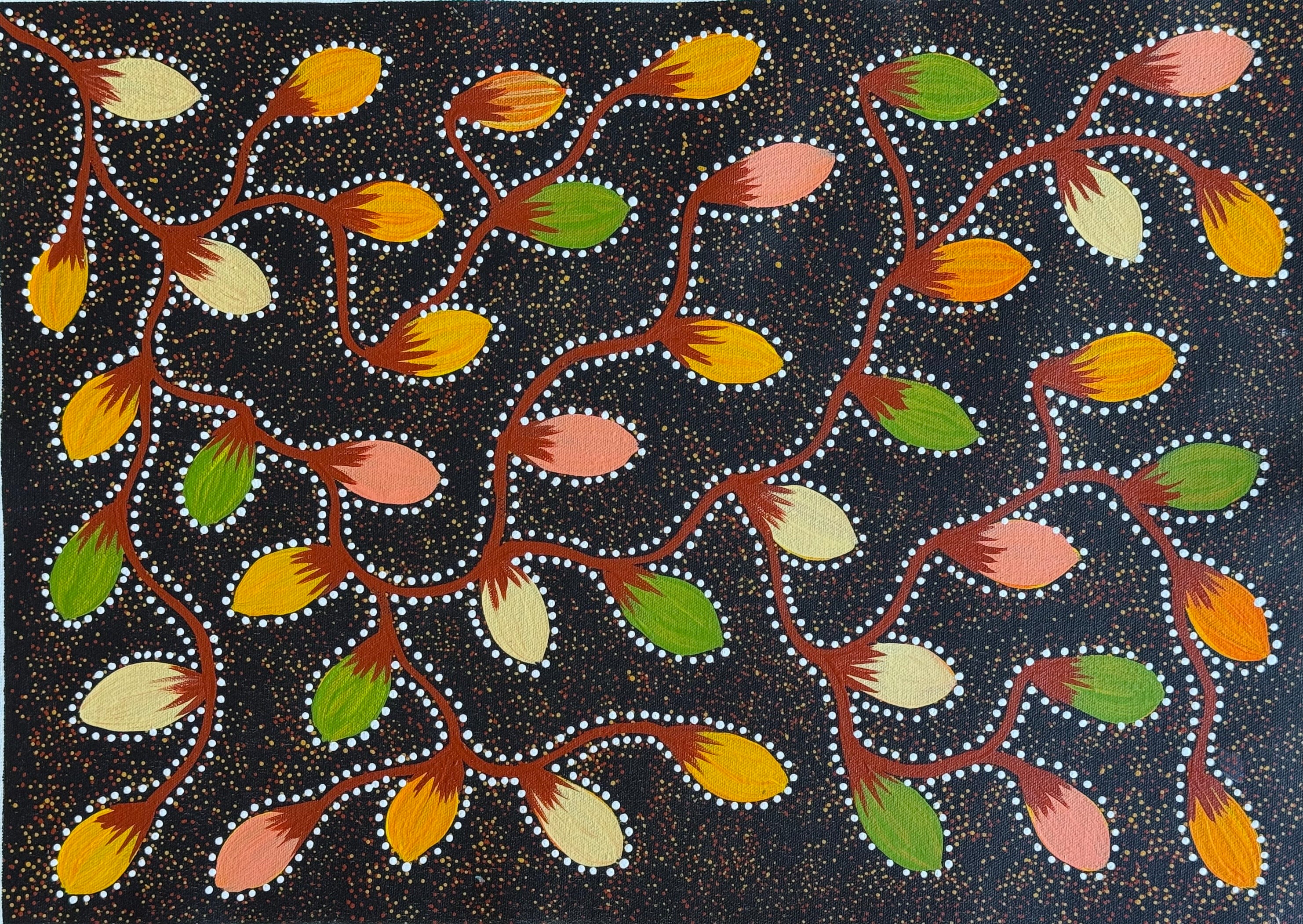 Jacinta Numina Waugh - Bush Tomatoes .30-4