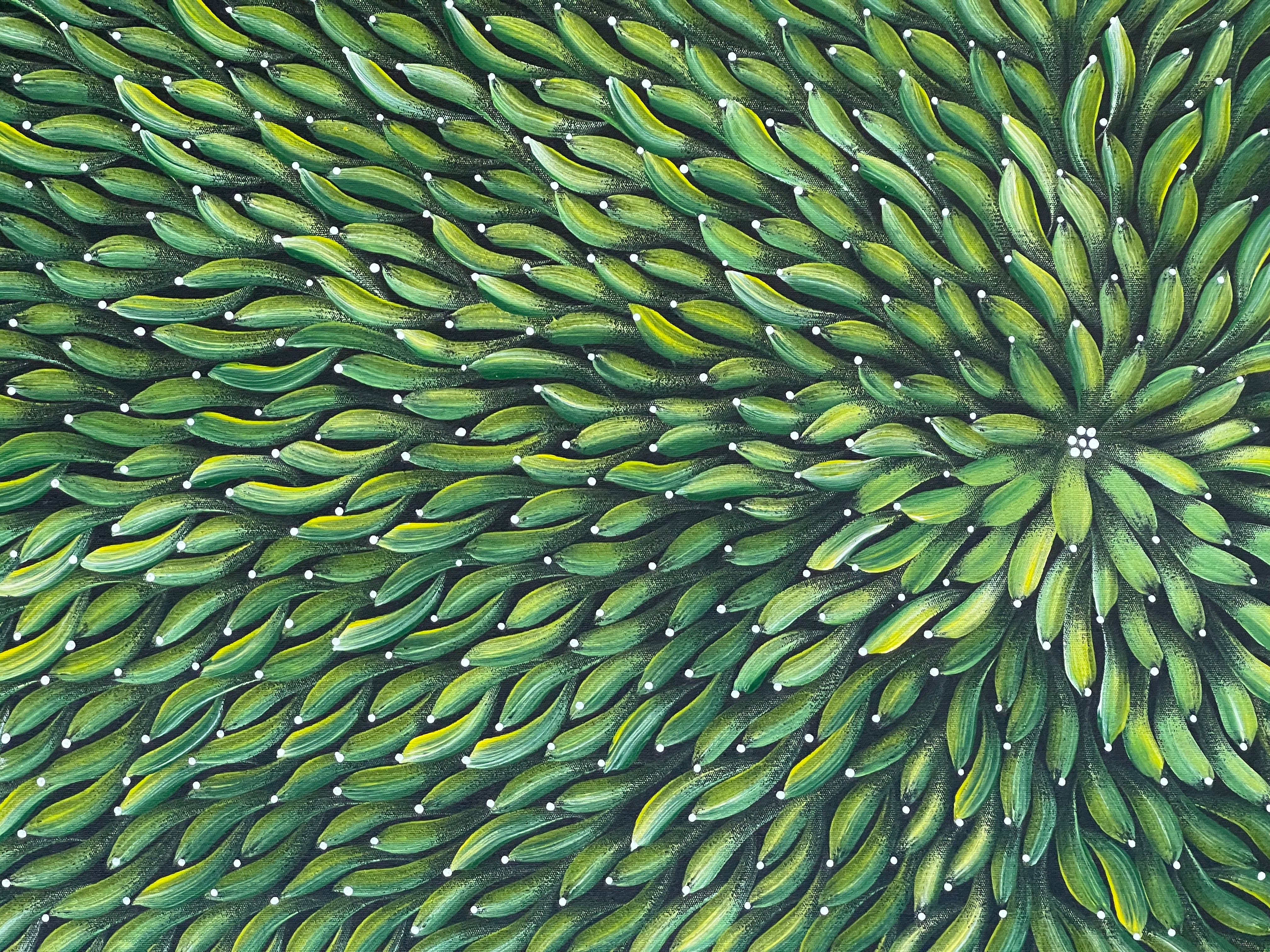 Maryanne Gibson - Bush Medicine Bush Seeds - 119x50cm 56-11
