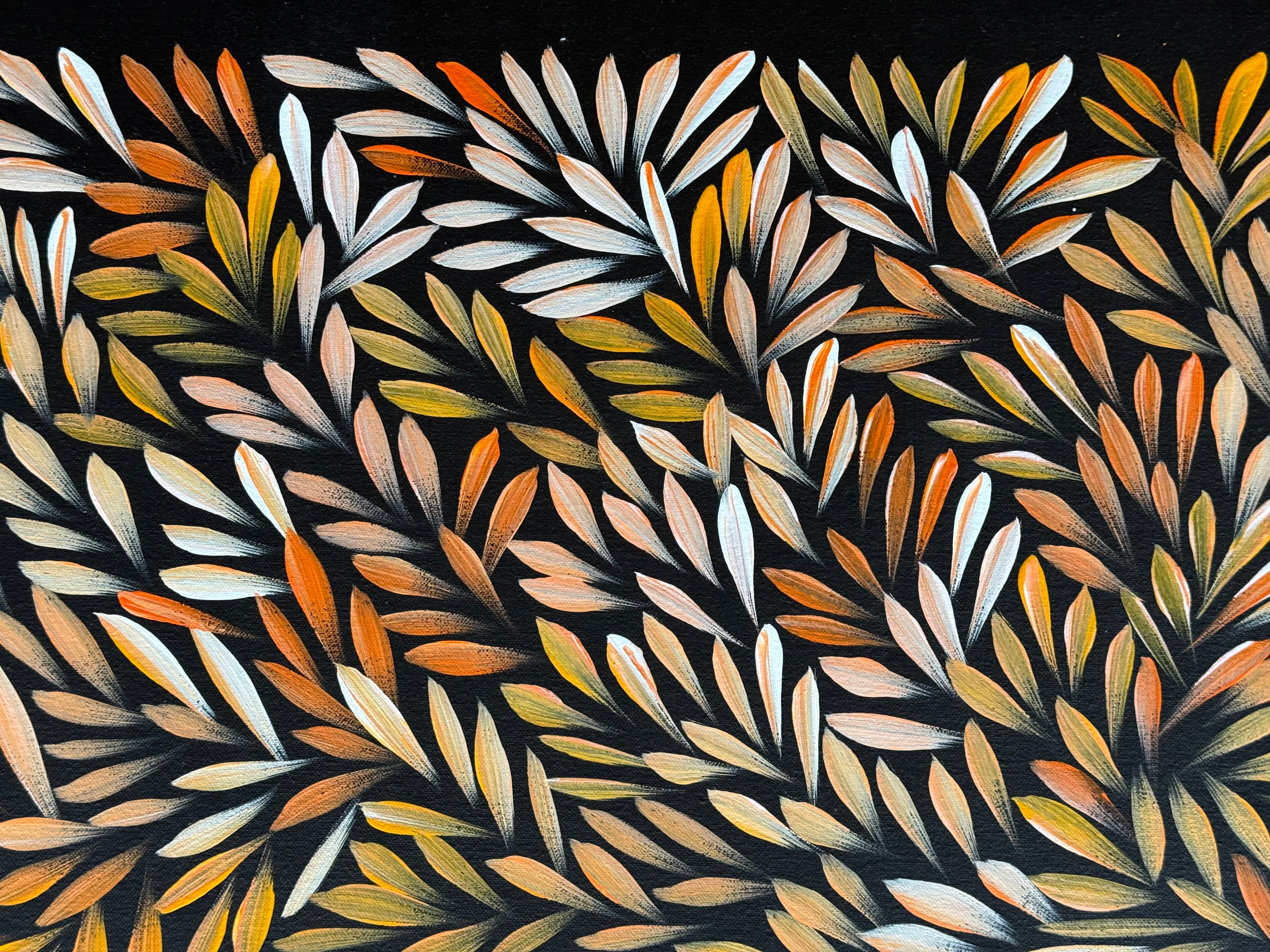Sharon Numina - Bush Medicine Leaves .14-10