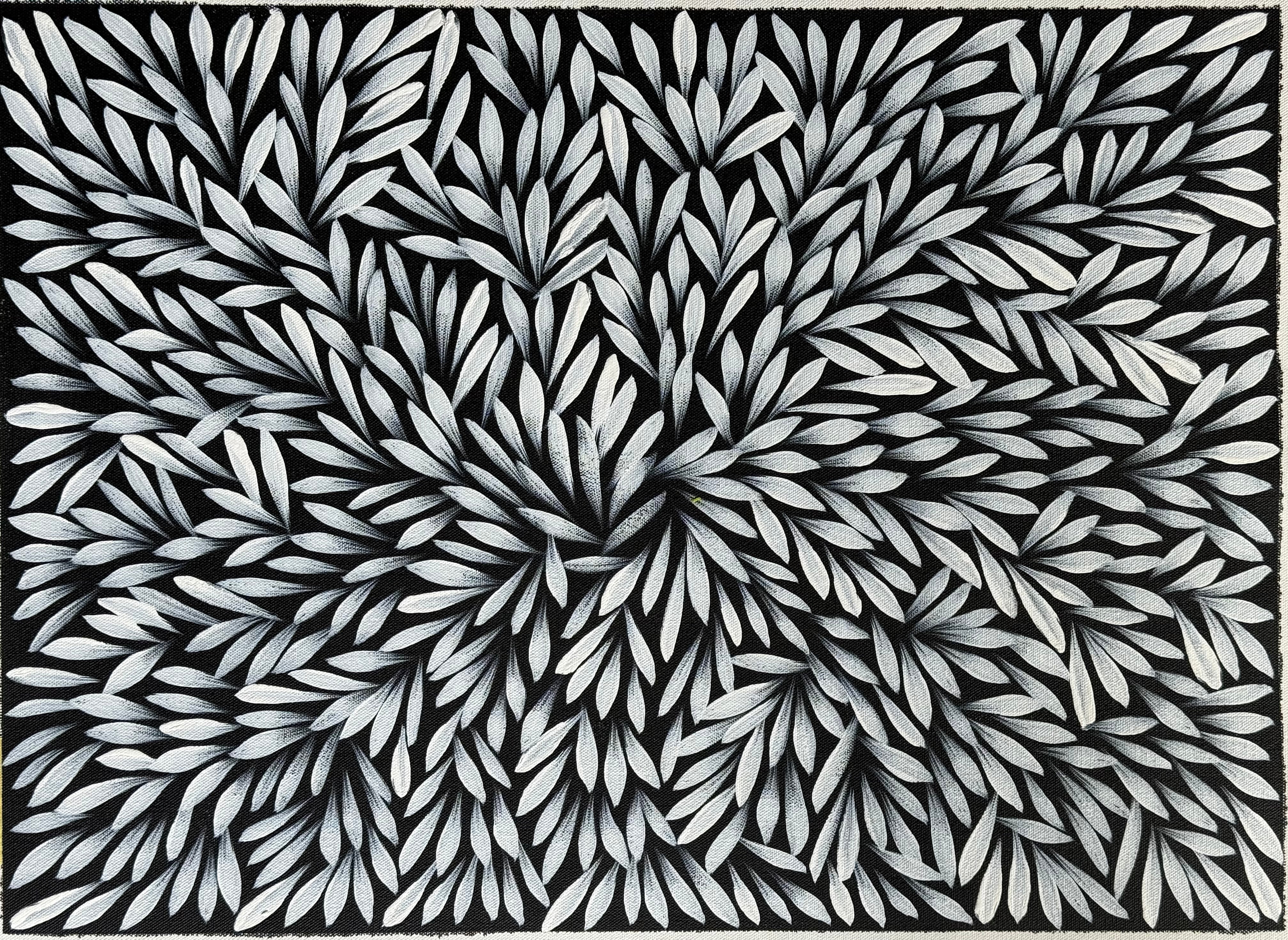 Sharon Numina - Bush Medicine Leaves .14-65