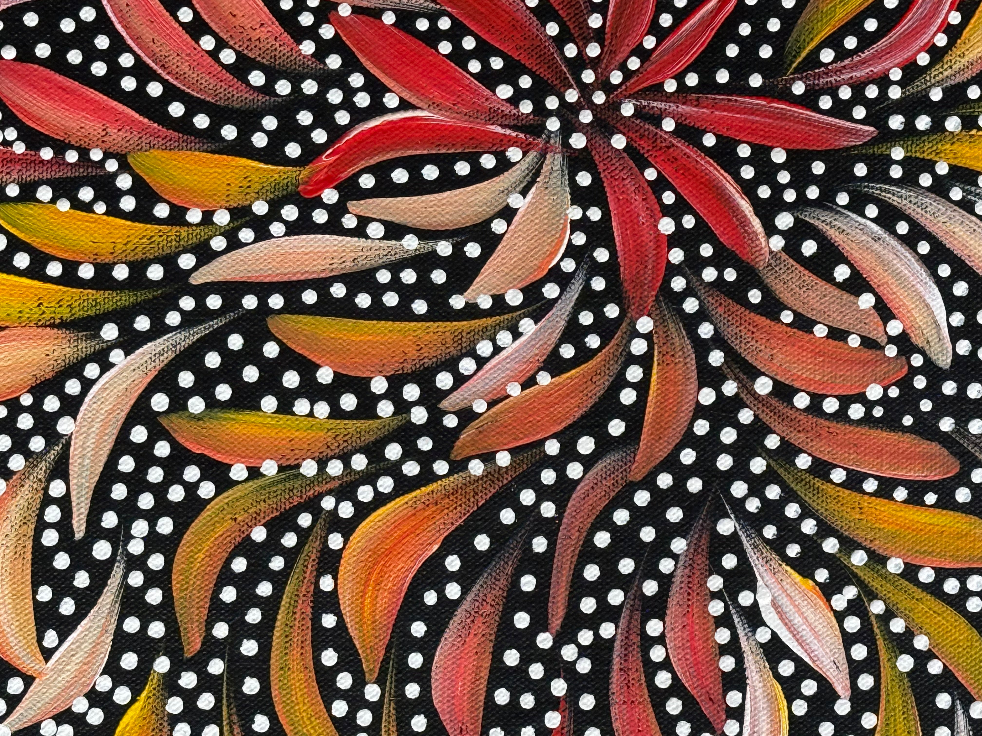 Caroline Numina - Bush Medicine Leaves and Seeds .35-14