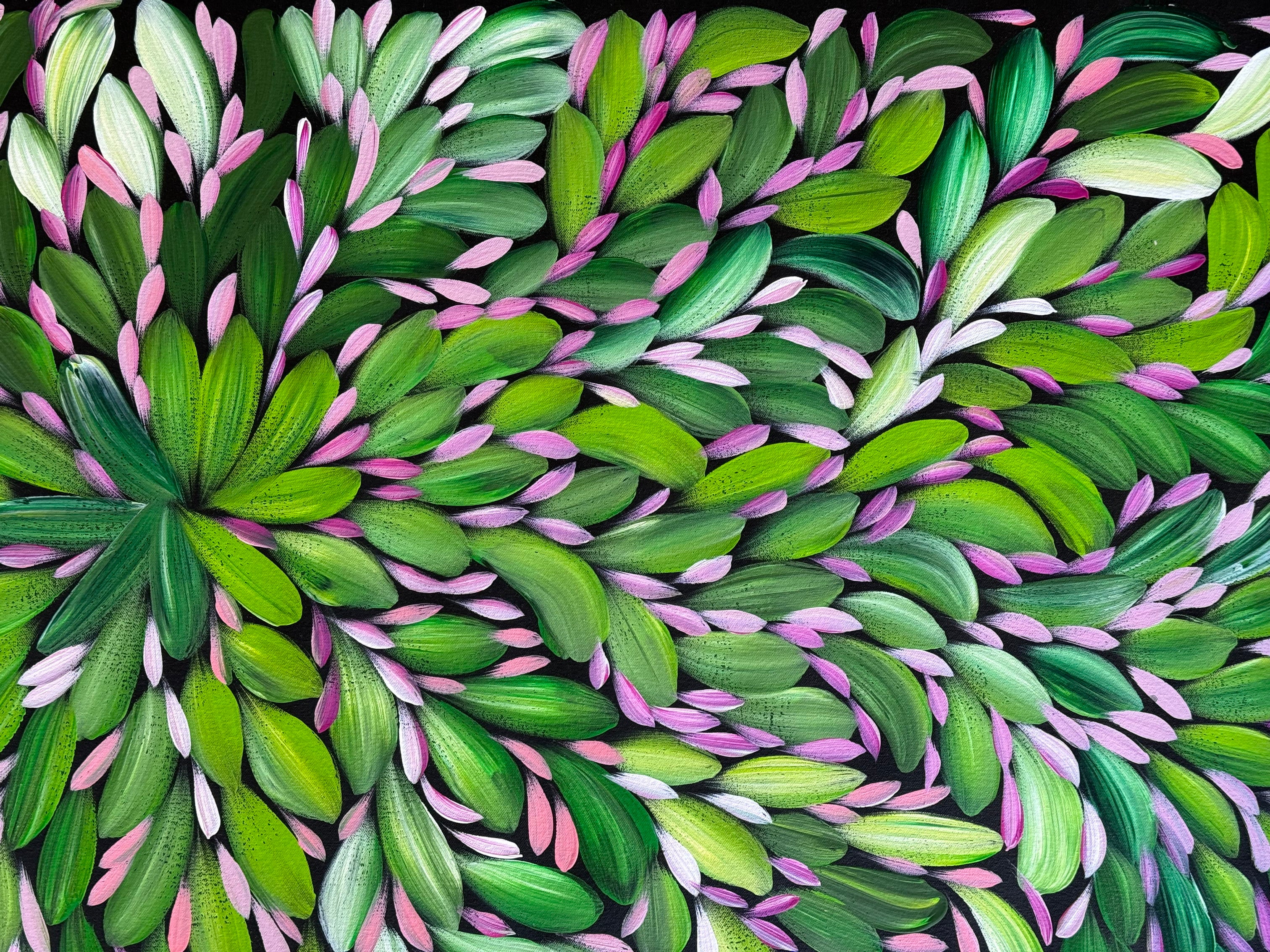 Louise Numina Napananka - Bush Medicine Leaves .23-15