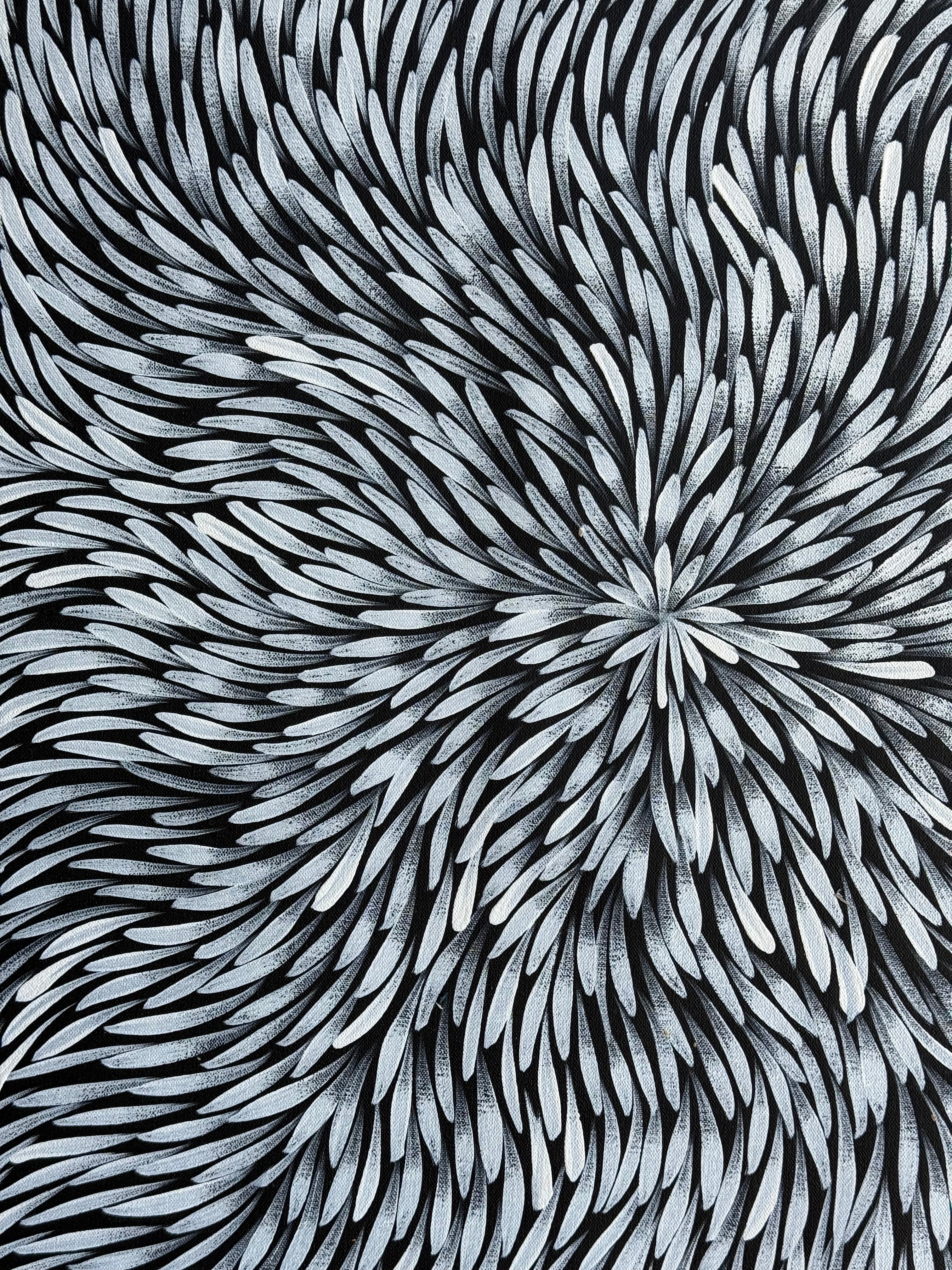 Sharon Numina - Bush Medicine Leaves .01-7