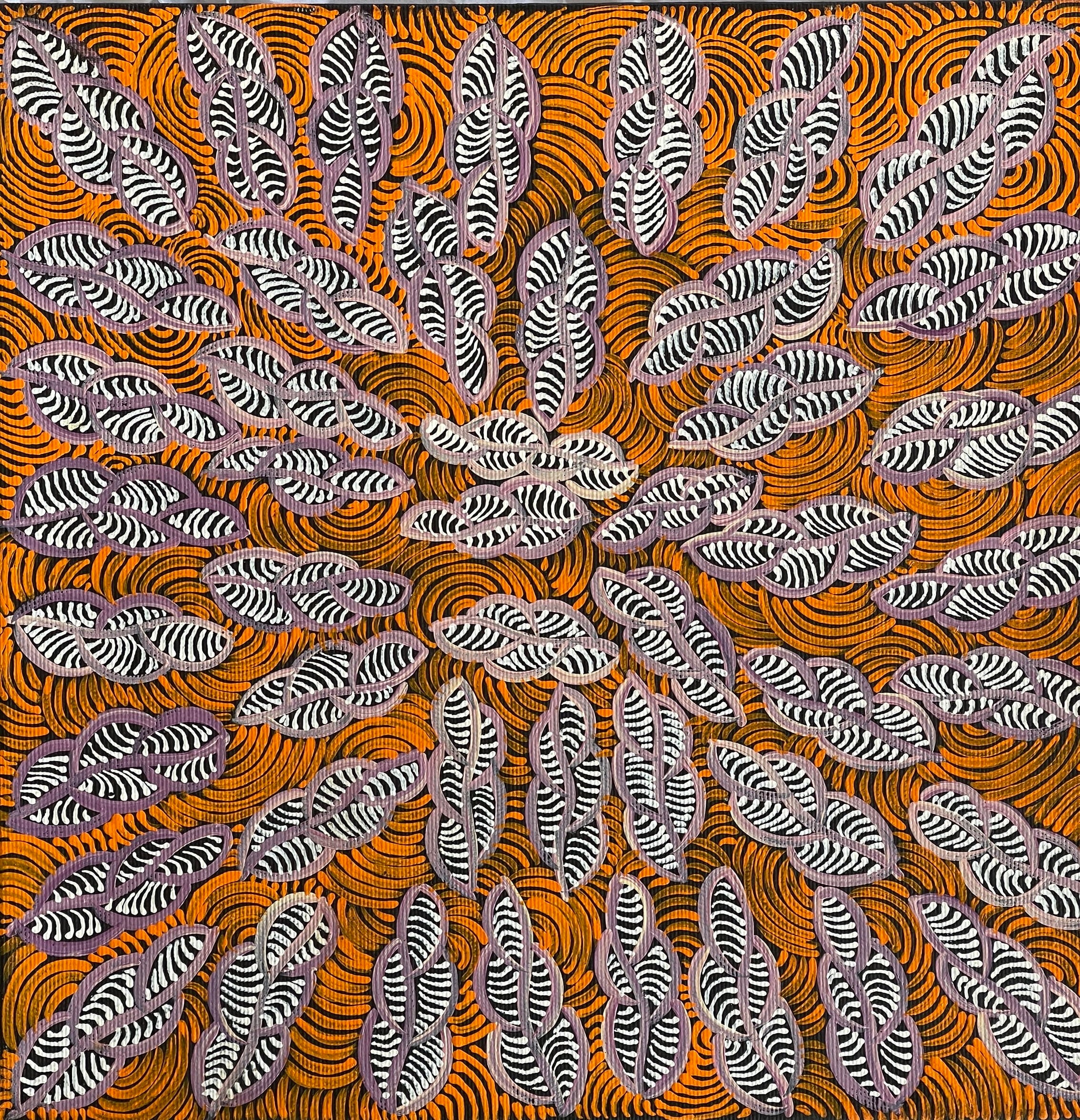 Geraldine Napurrurla Langdon - Ngurlu Jukurrpa (Native Seed Dreaming) - 30x30cm Stretched