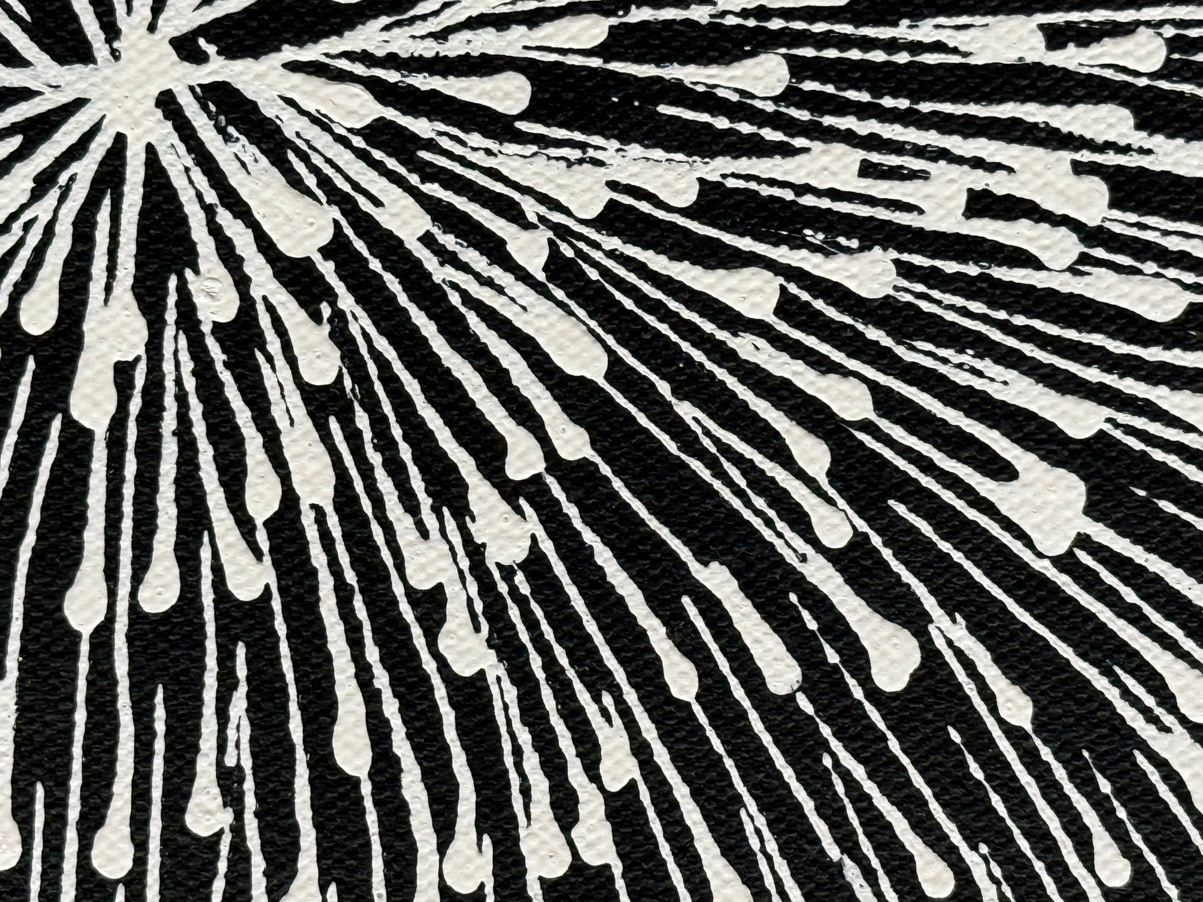 Sharon Numina - Bush Medicine Seeds .14-8