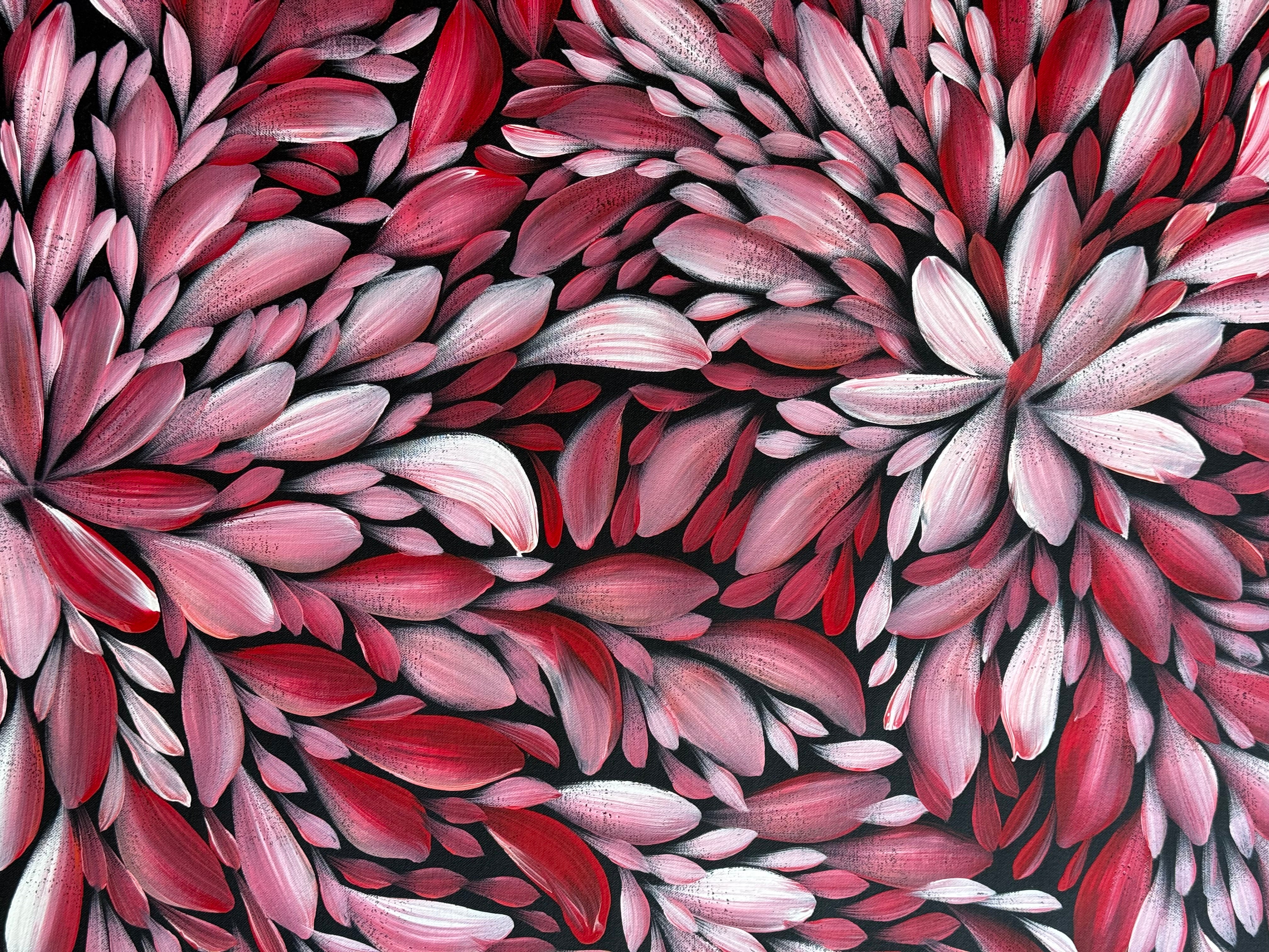 Louise Numina Napananka - Bush Medicine Leaves .57-48