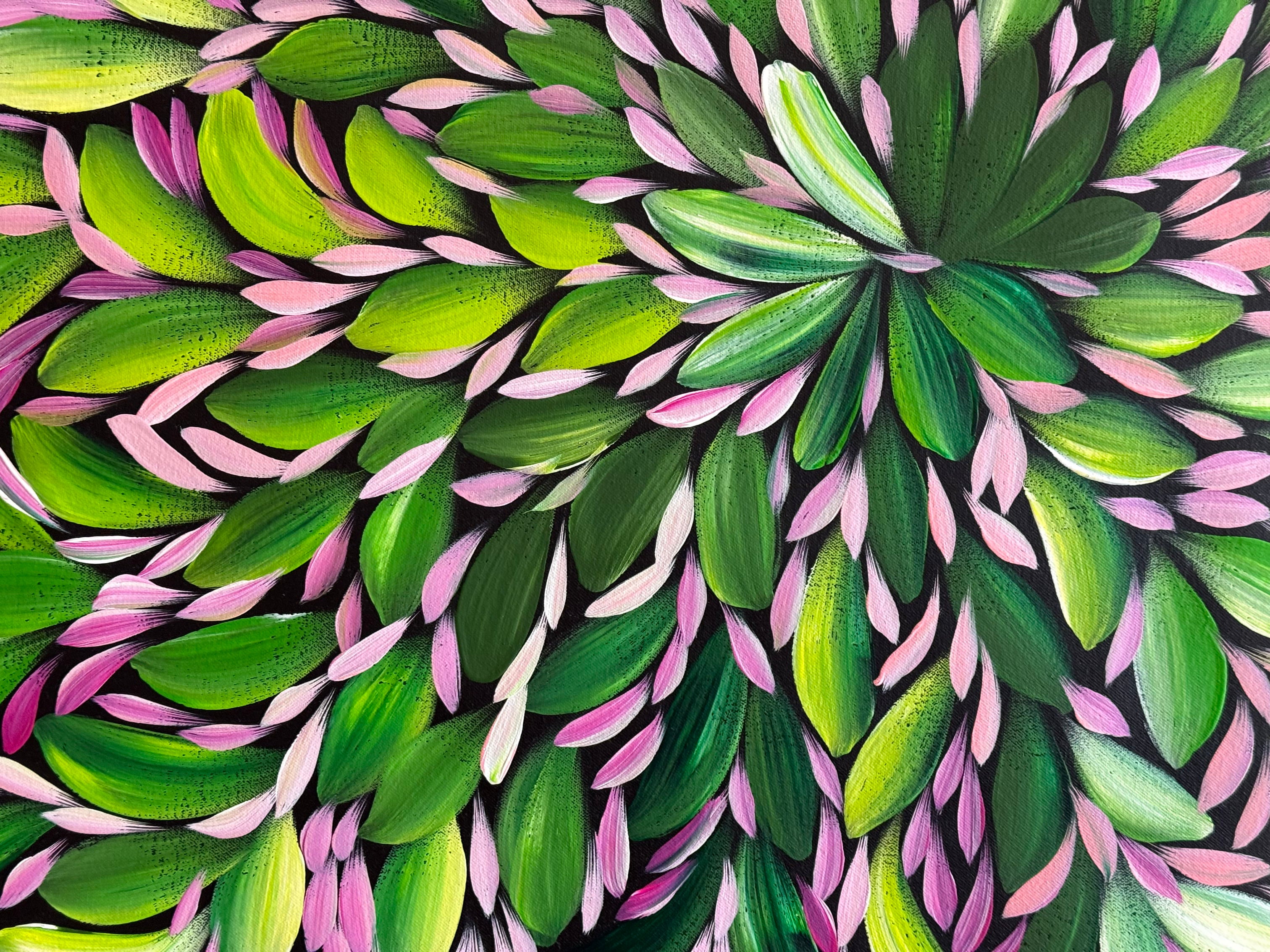 Louise Numina Napananka - Bush Medicine Leaves, Healing Leaves - 65x78cm .22-31