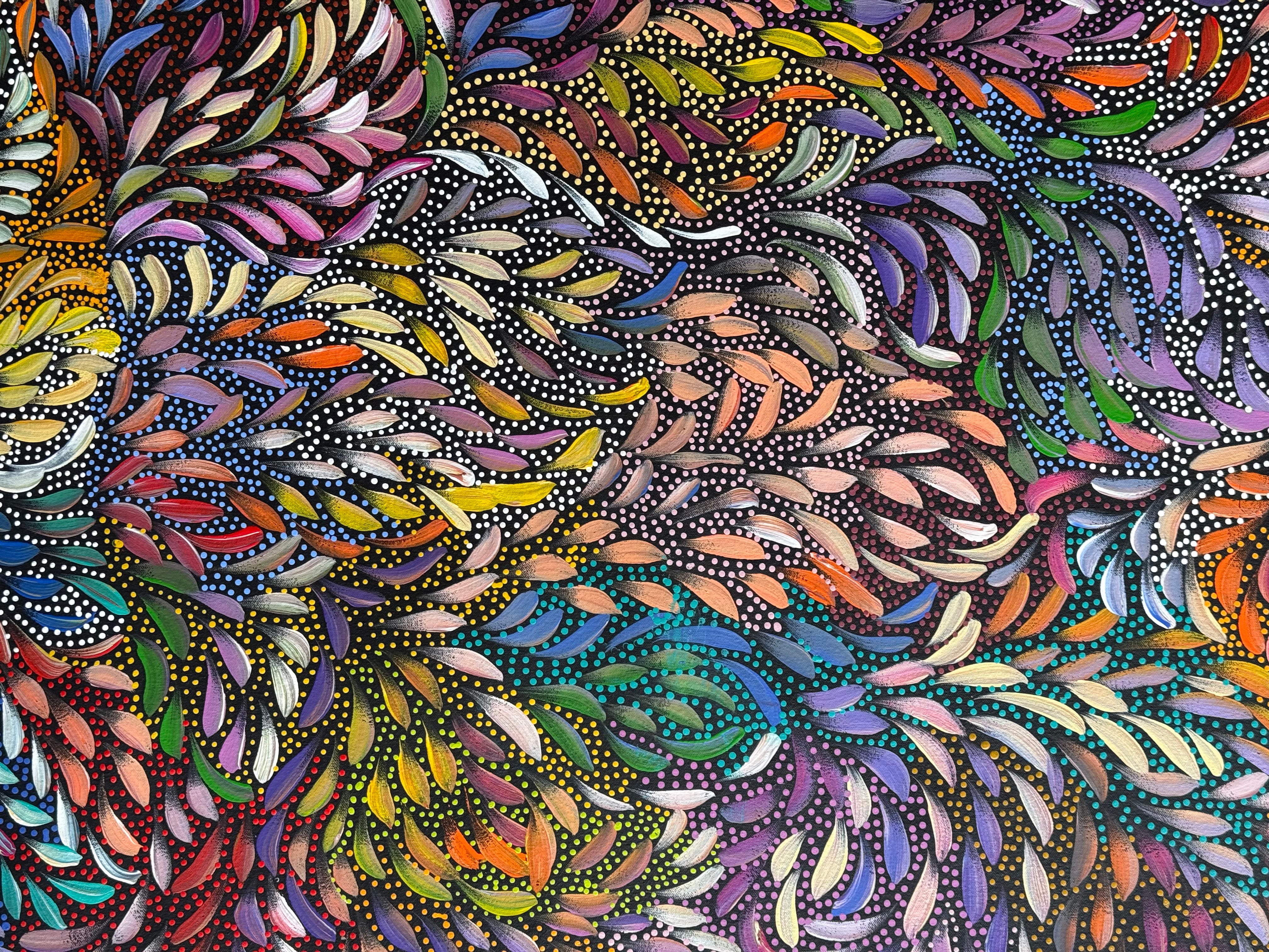 Caroline Numina - Bush Medicine Leaves and Seeds .87-4