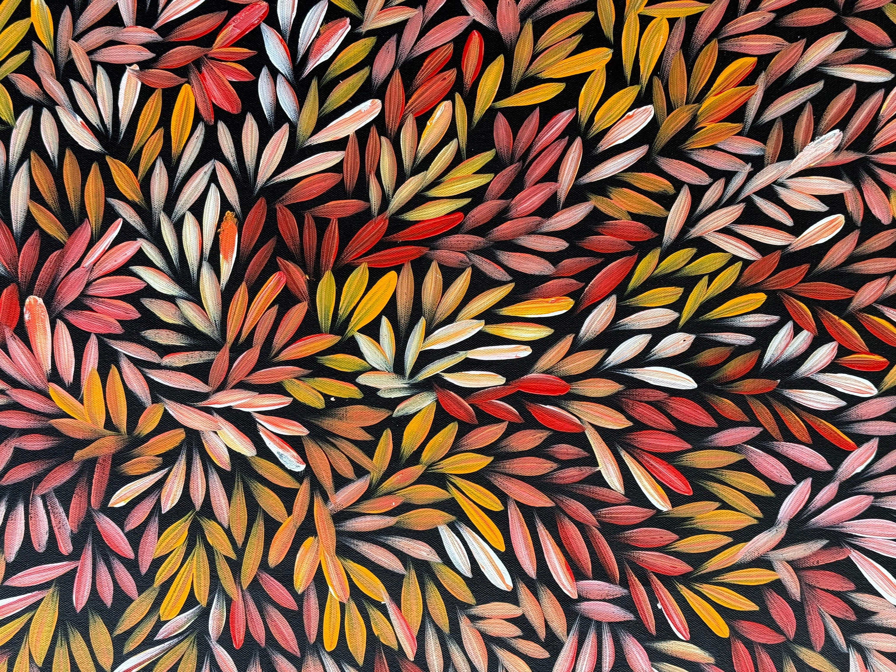 Sharon Numina - Bush Medicine Leaves - 70x94cm .14-45