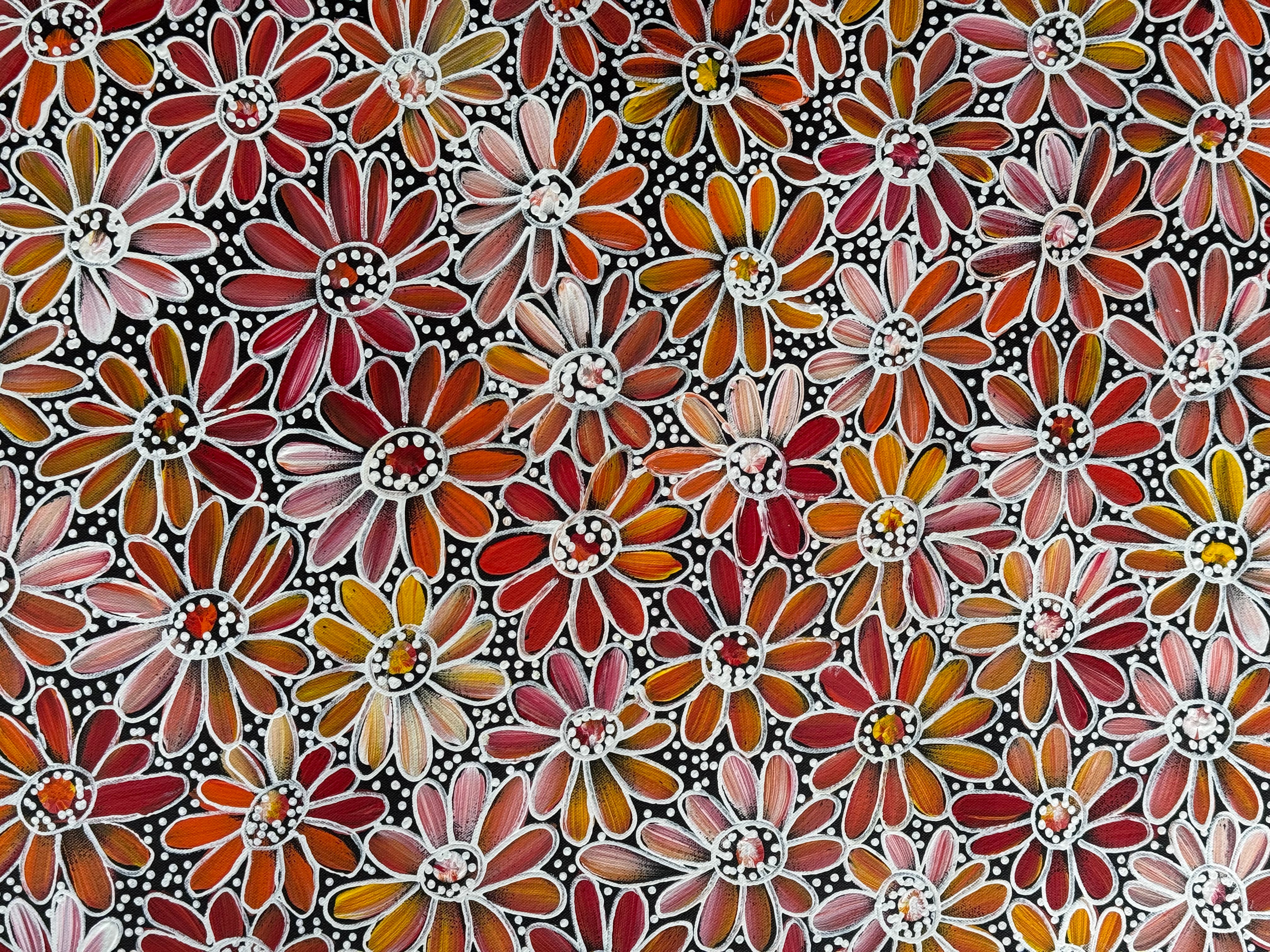 Louise Numina Napananka - Bush Medicine Flowers .90-24