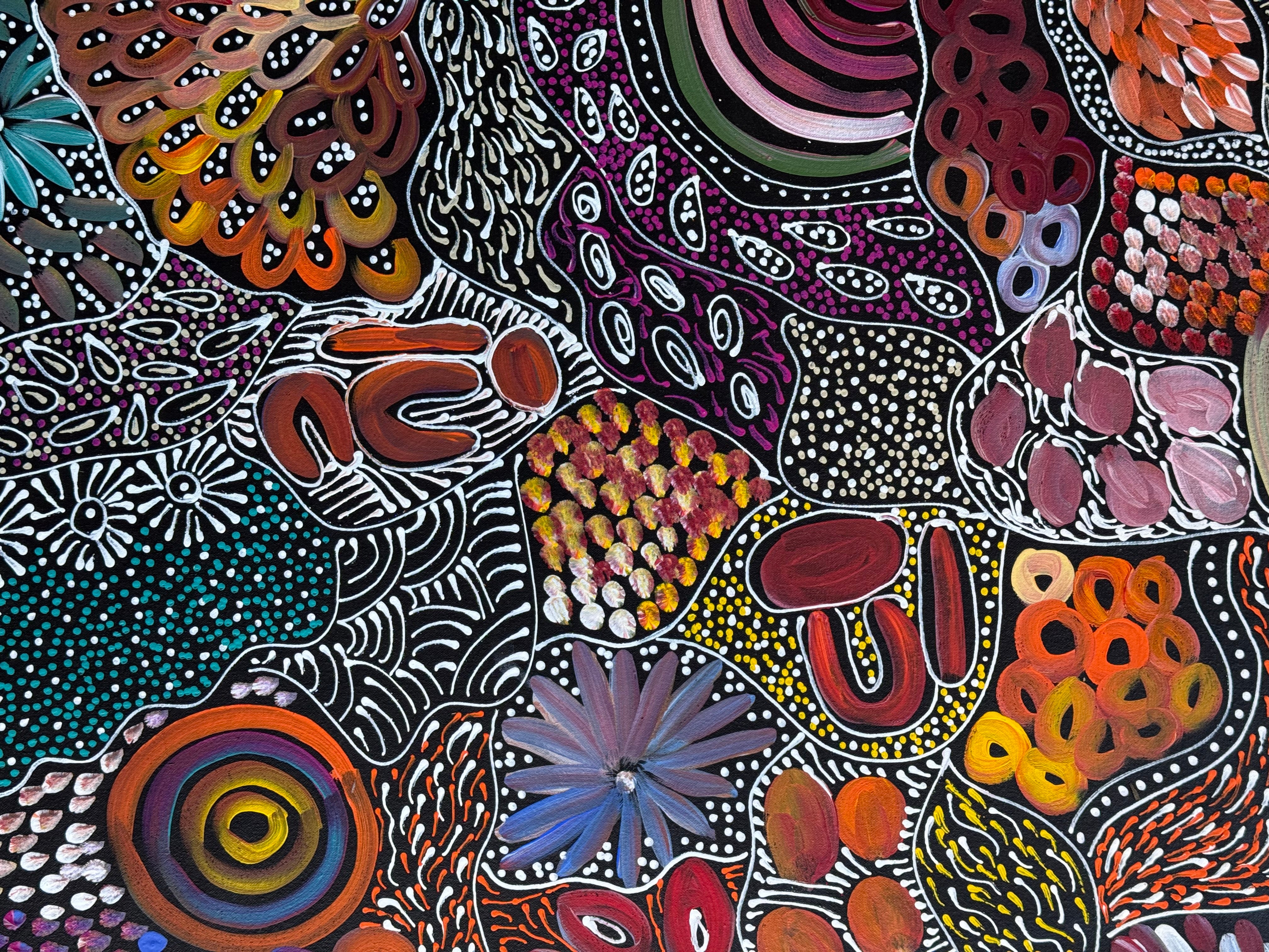 Louise Numina Napananka - Dreamtime .90-20
