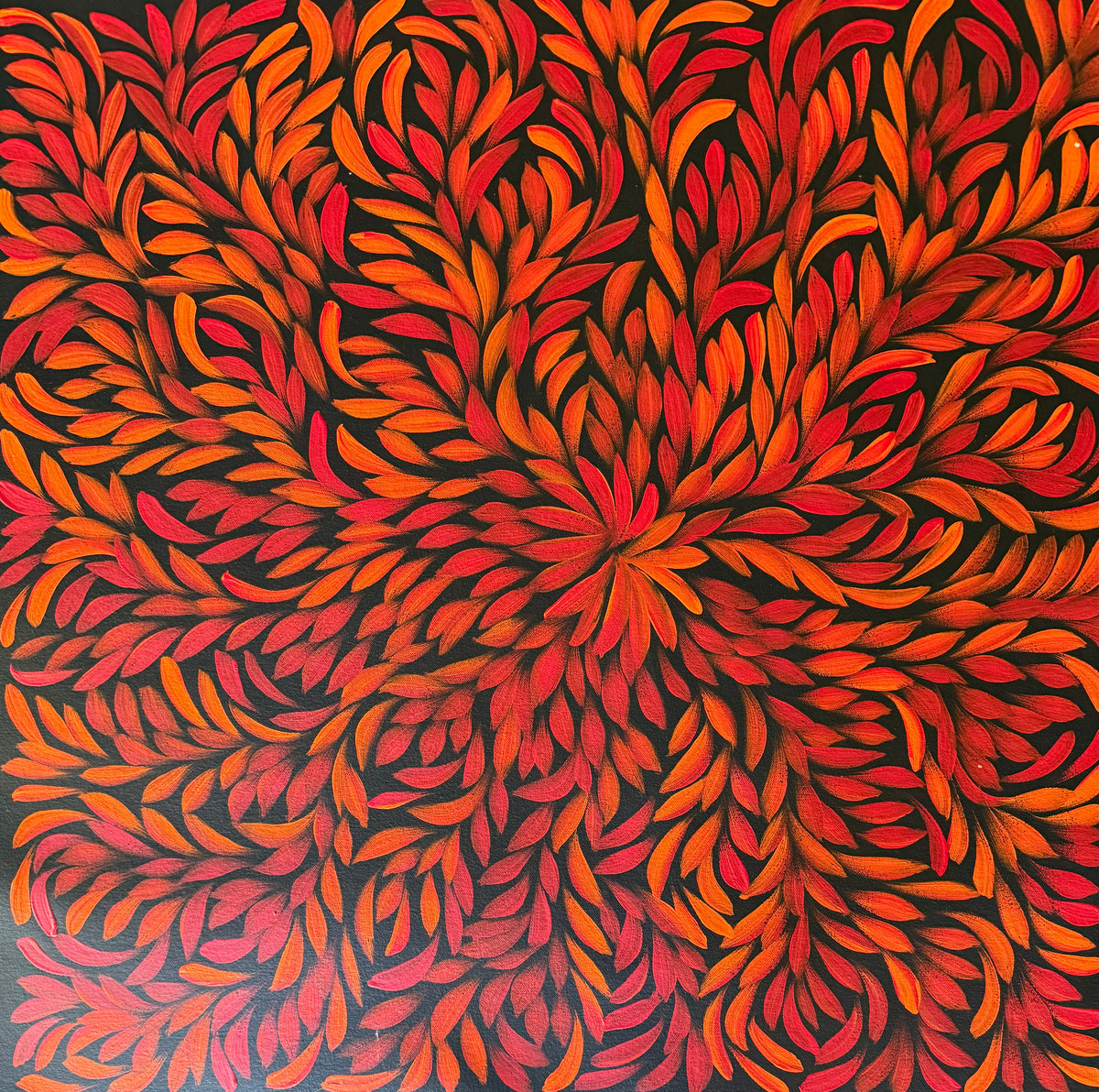 Louise Numina Napananka - Bush Medicine Leaves .36-15