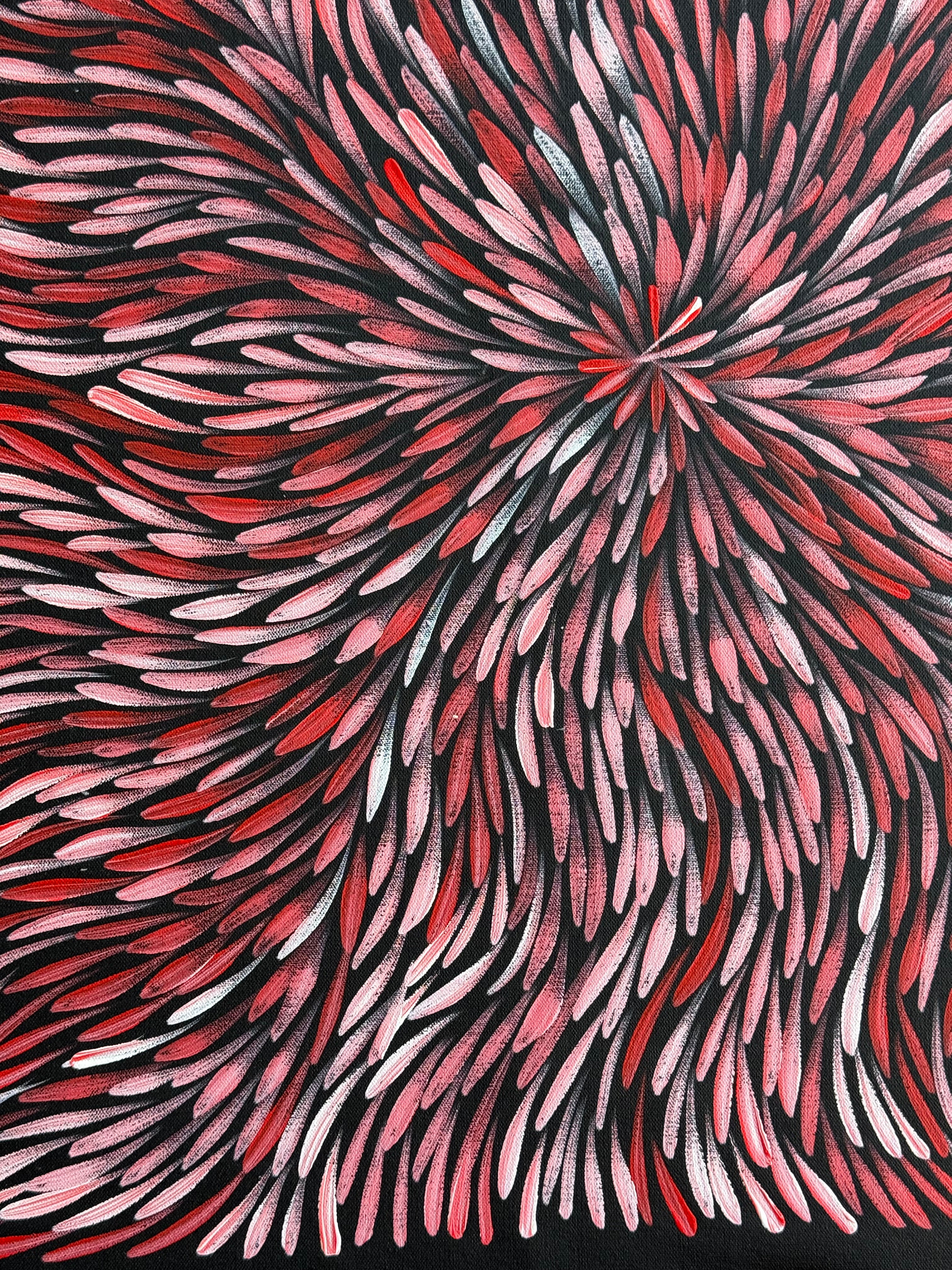 Sharon Numina - Bush Medicine Leaves .01-9