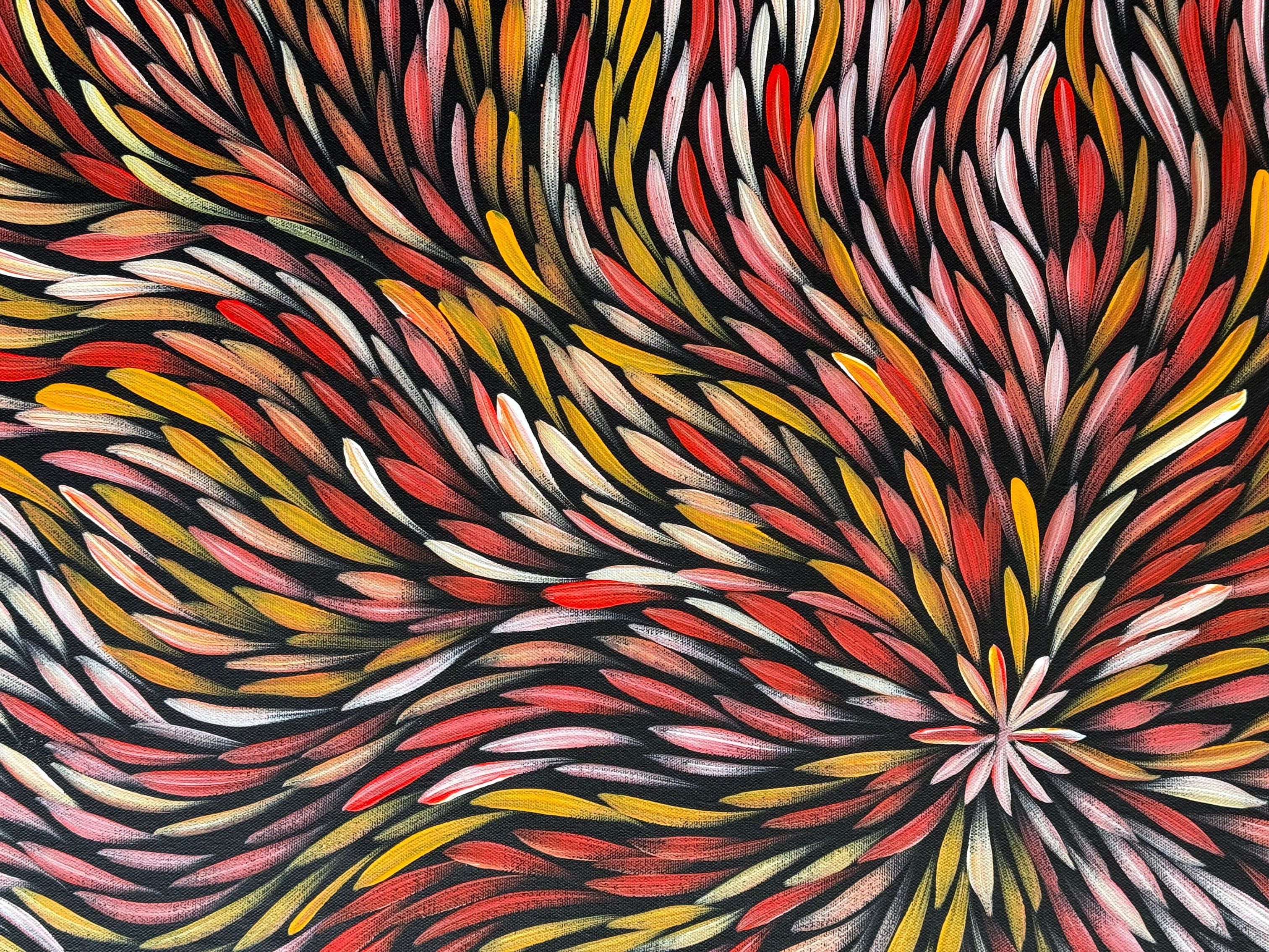 Sharon Numina - Bush Medicine Leaves .14-24