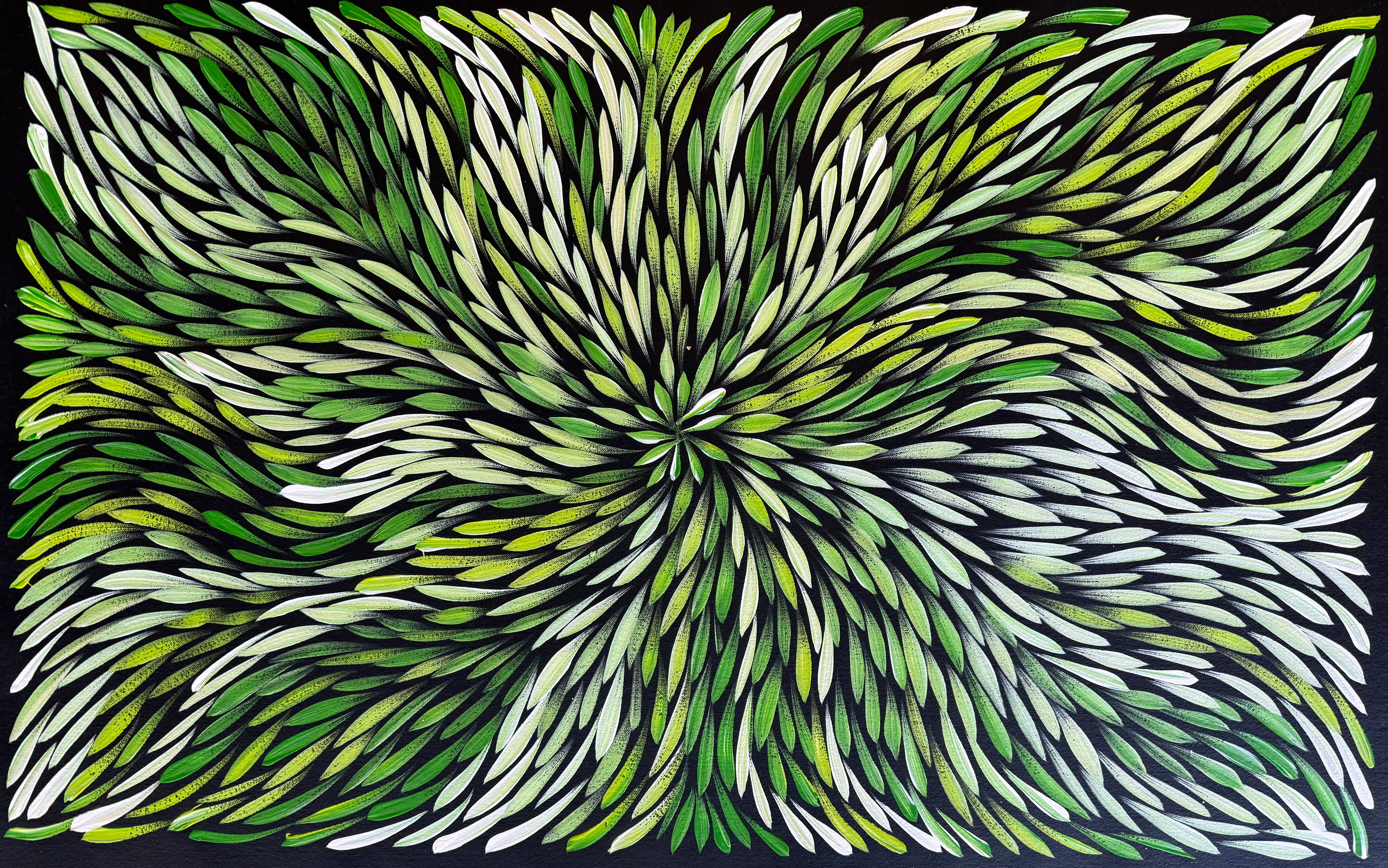 Sharon Numina - Bush Medicine Leaves .14-16