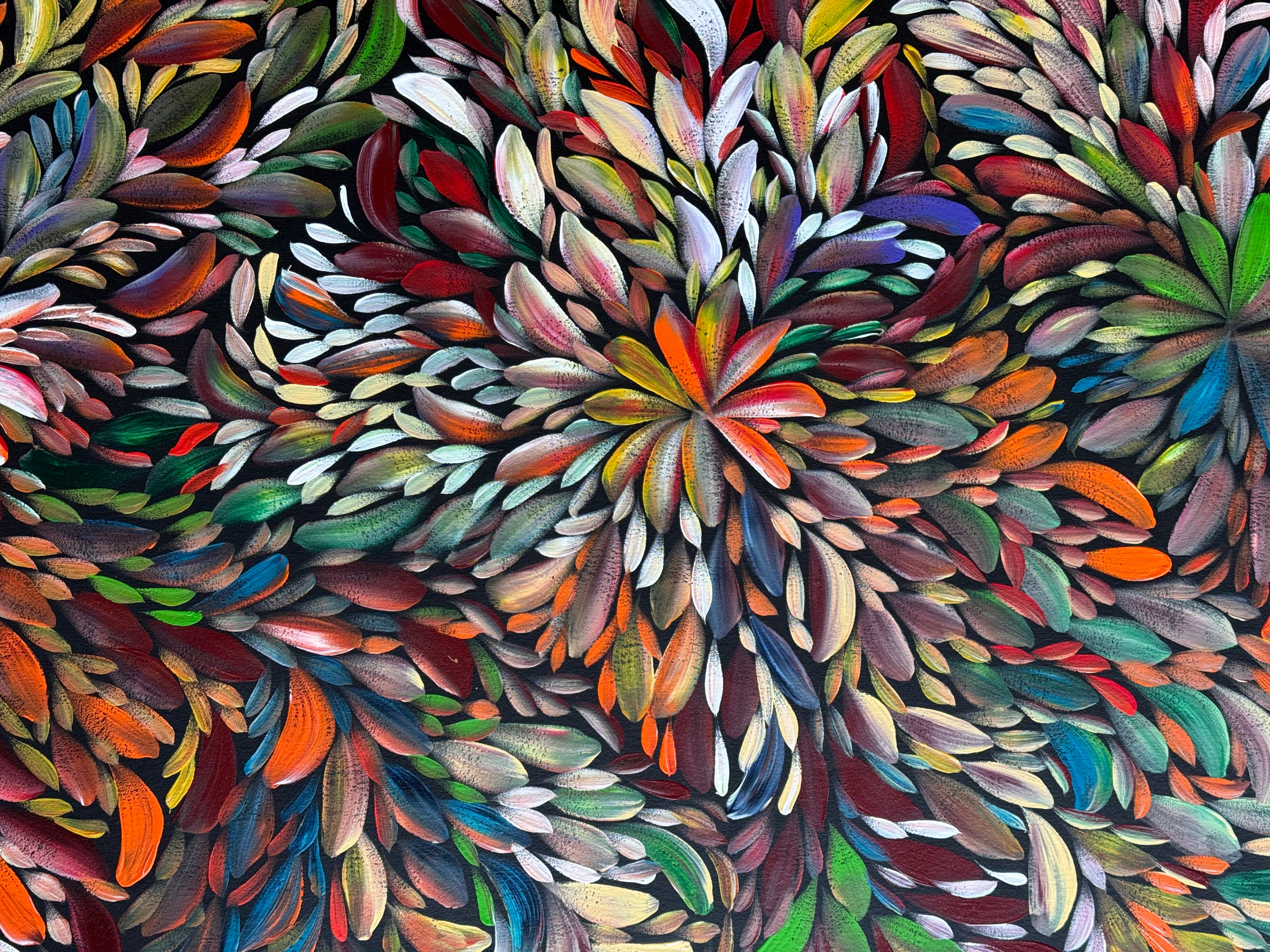 Louise Numina Napananka - Bush Medicine Leaves .27-7