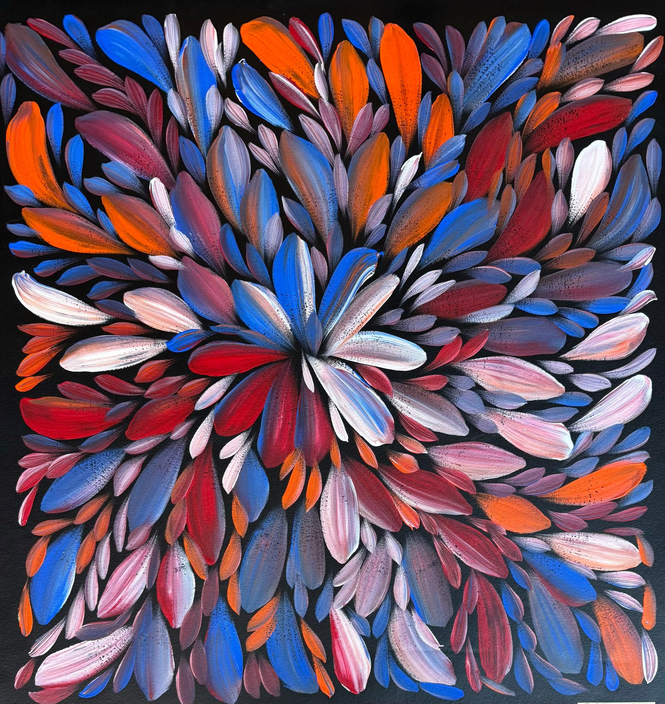 Louise Numina Napananka - Bush Medicine Leaves .49-20