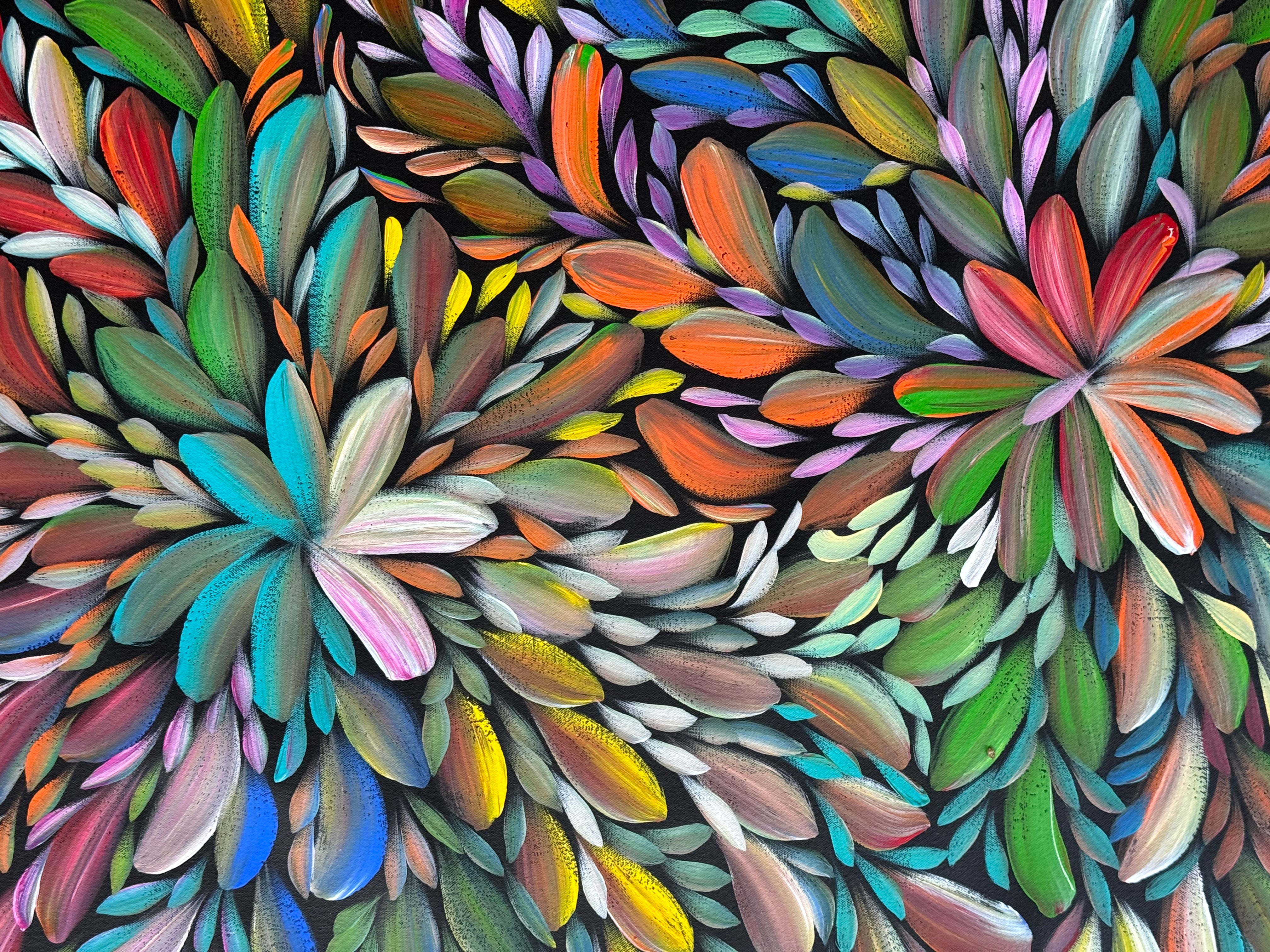Louise Numina Napananka - Bush Medicine Leaves .16-2