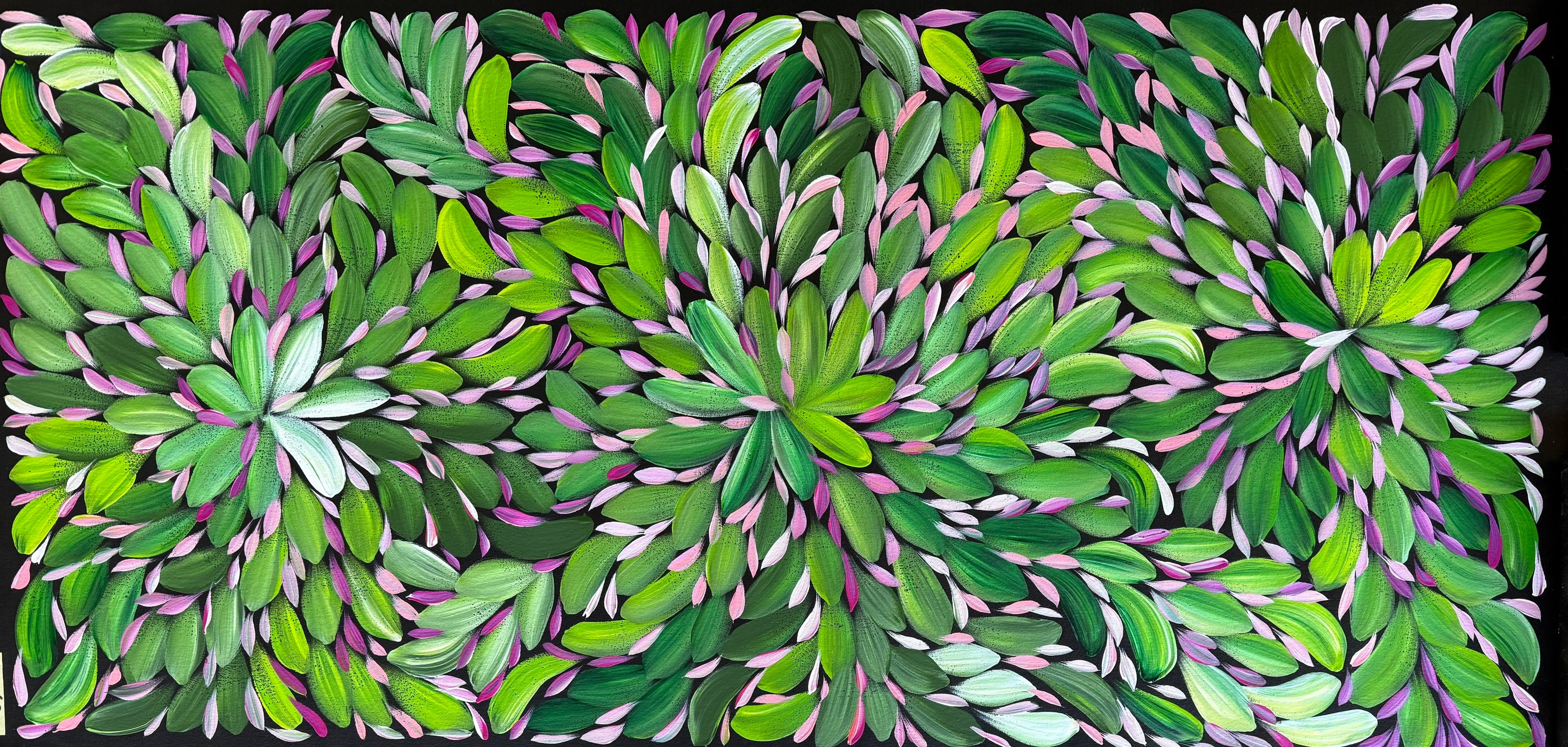 Louise Numina Napananka - Bush Medicine Leaves .23-2