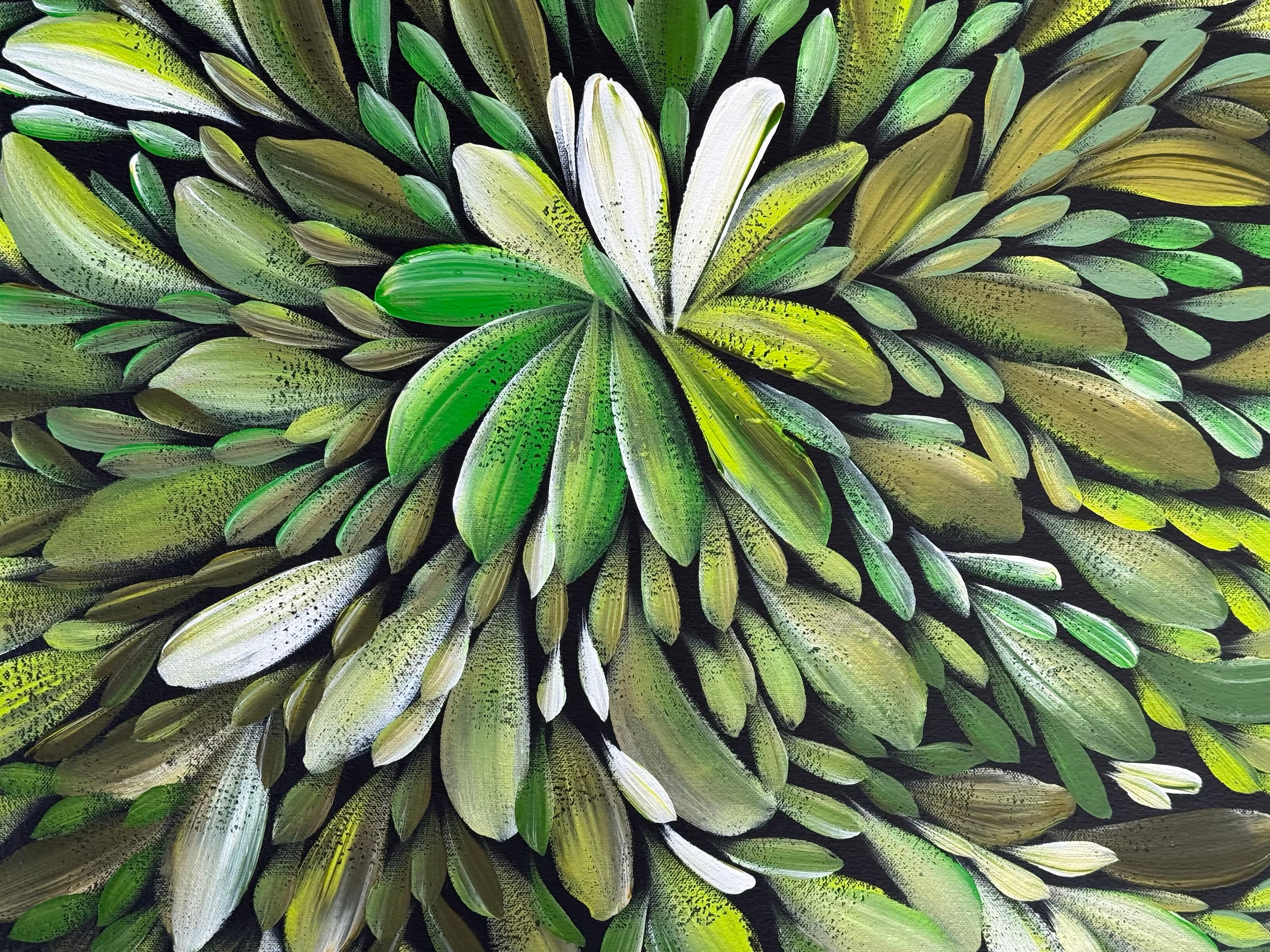 Louise Numina Napananka - Bush Medicine Leaves .65-1