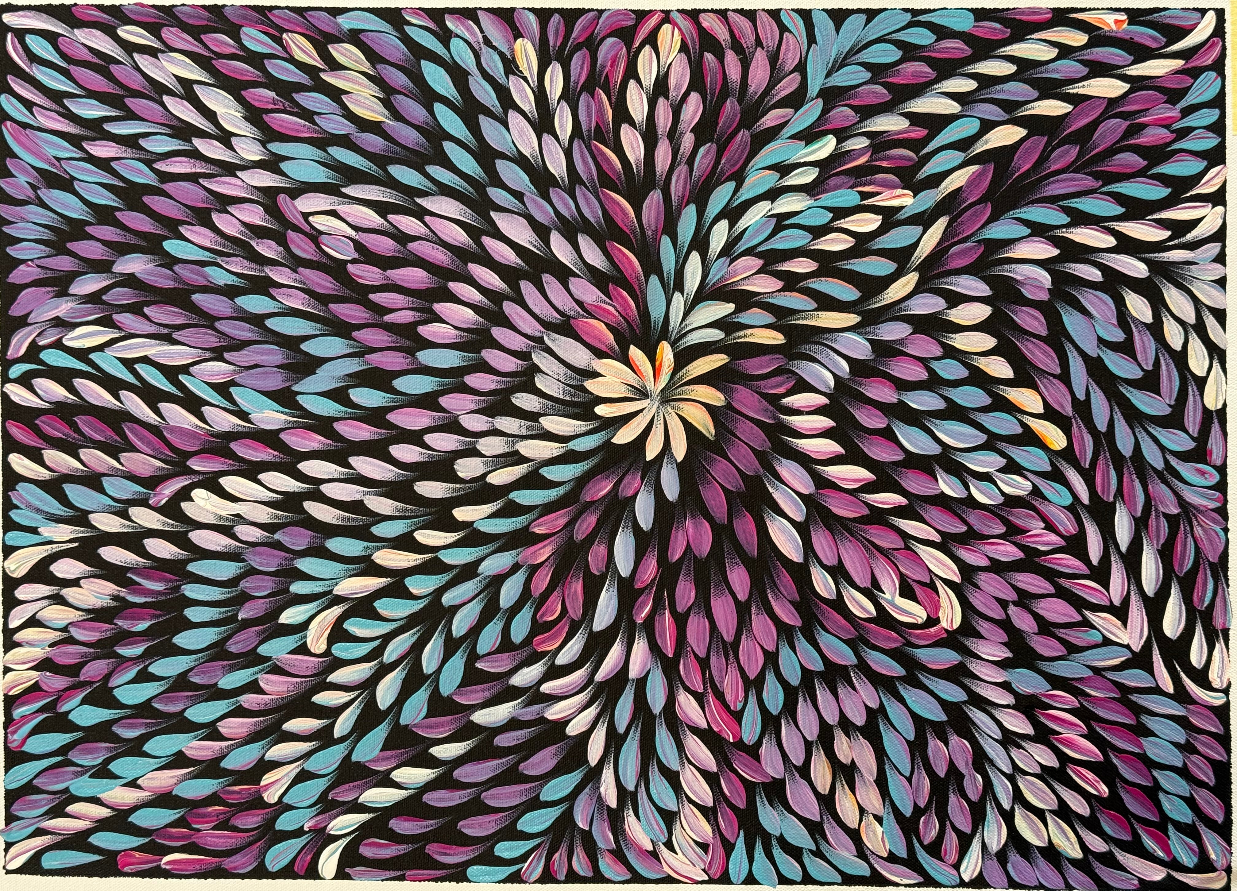 Caroline Numina - Bush Medicine Leaves .04-38