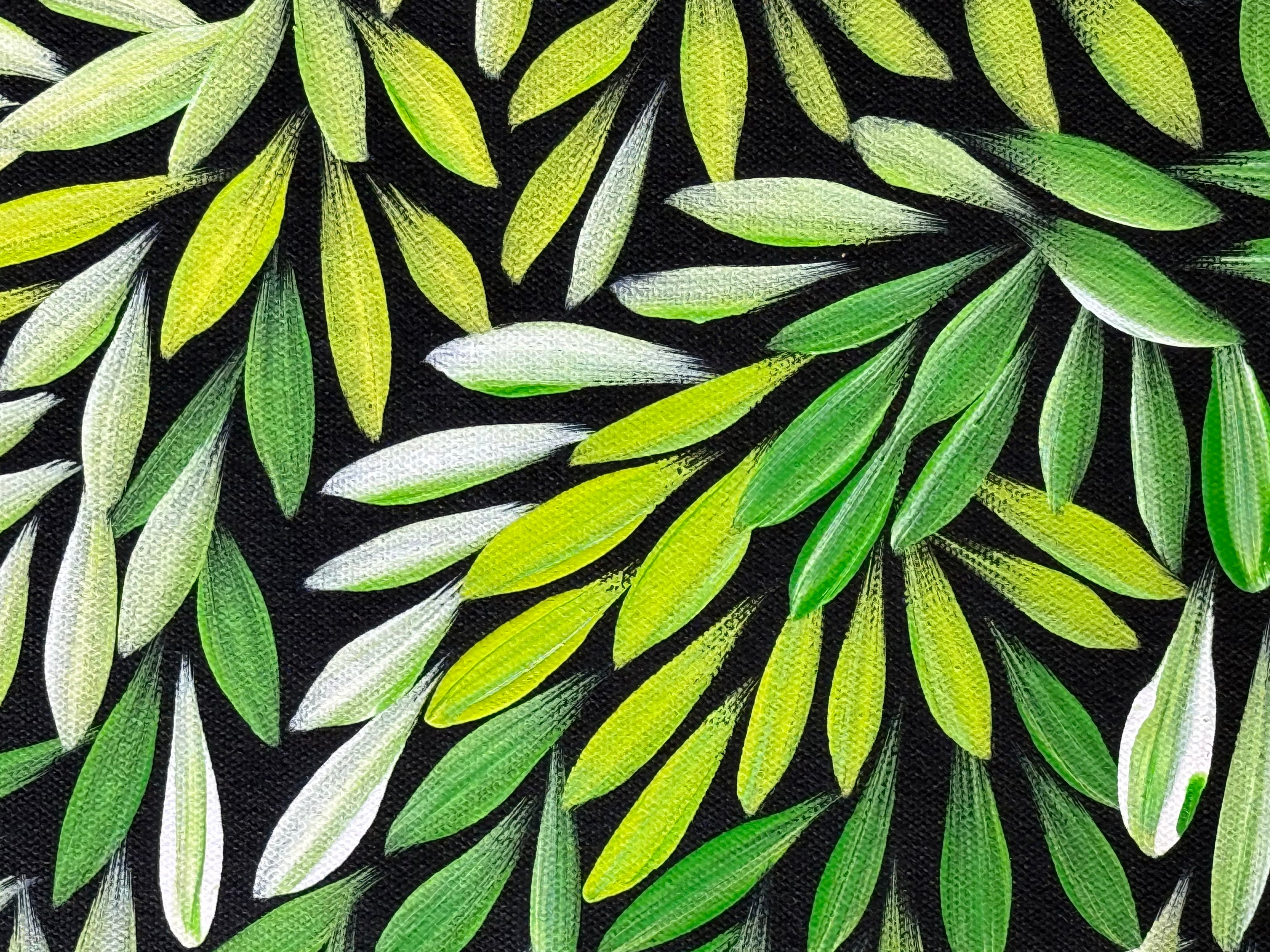Sharon Numina - Bush Medicine Leaves - 69x90cm .14-37