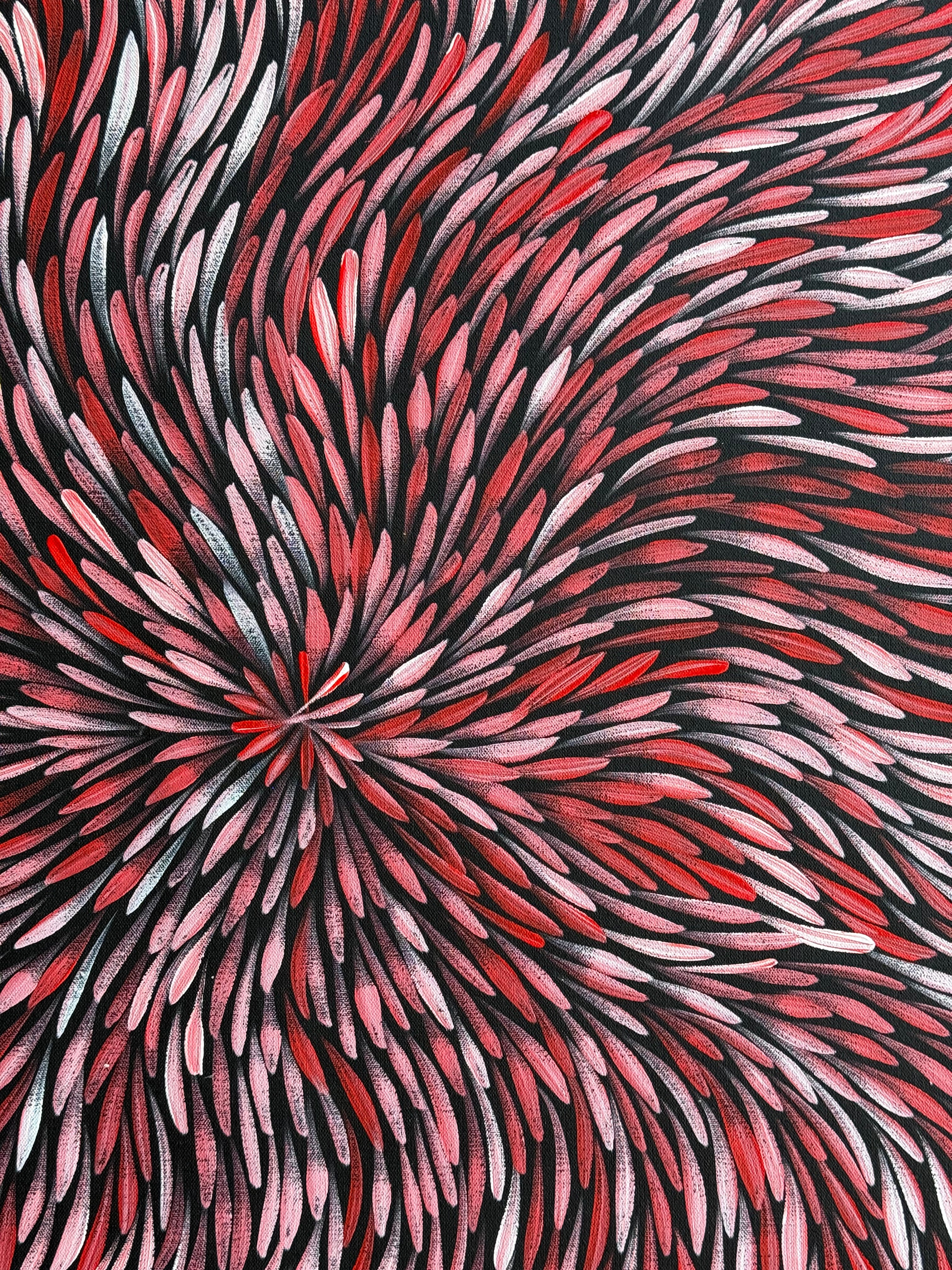 Sharon Numina - Bush Medicine Leaves .01-9