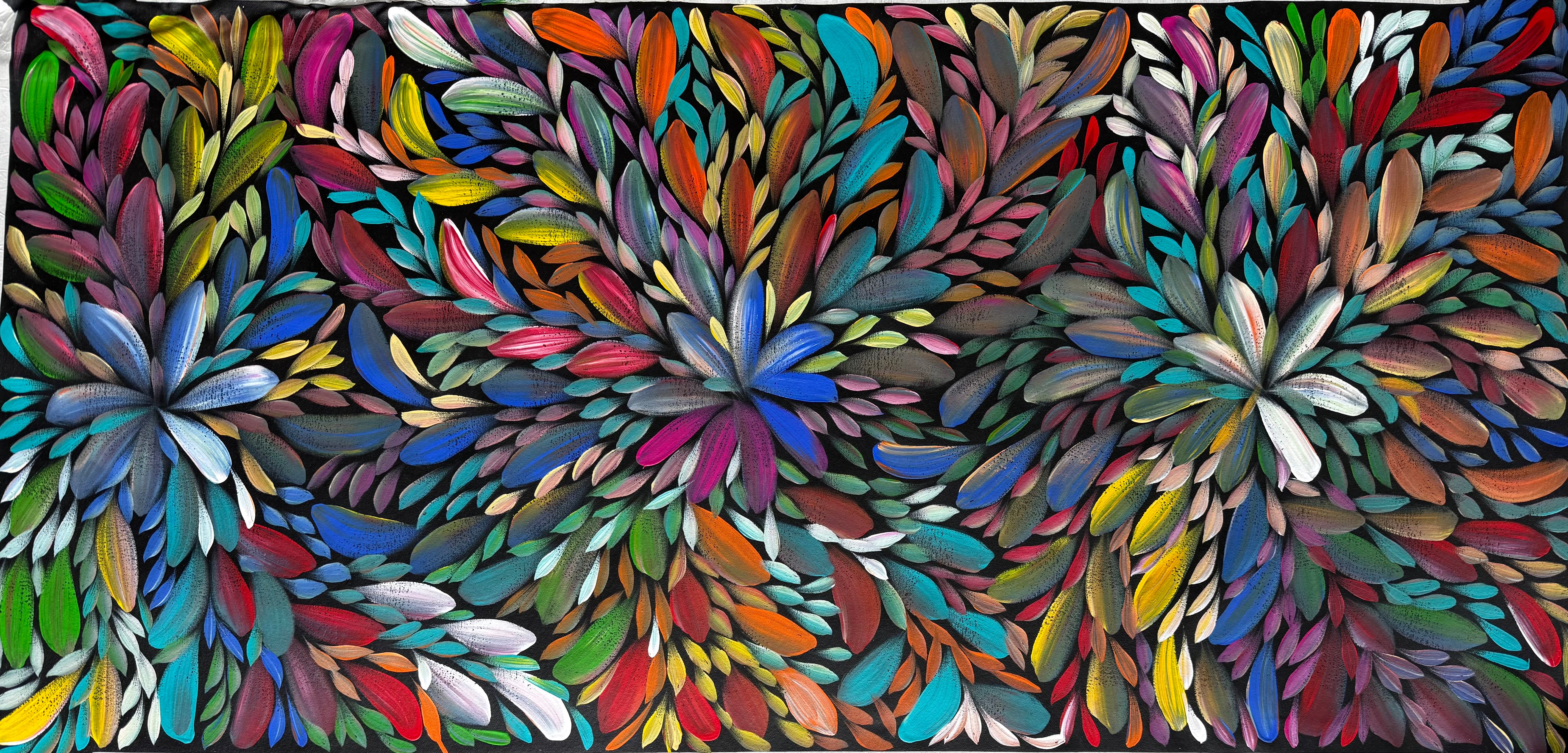 Louise Numina Napananka - Bush Medicine Leaves .09-4