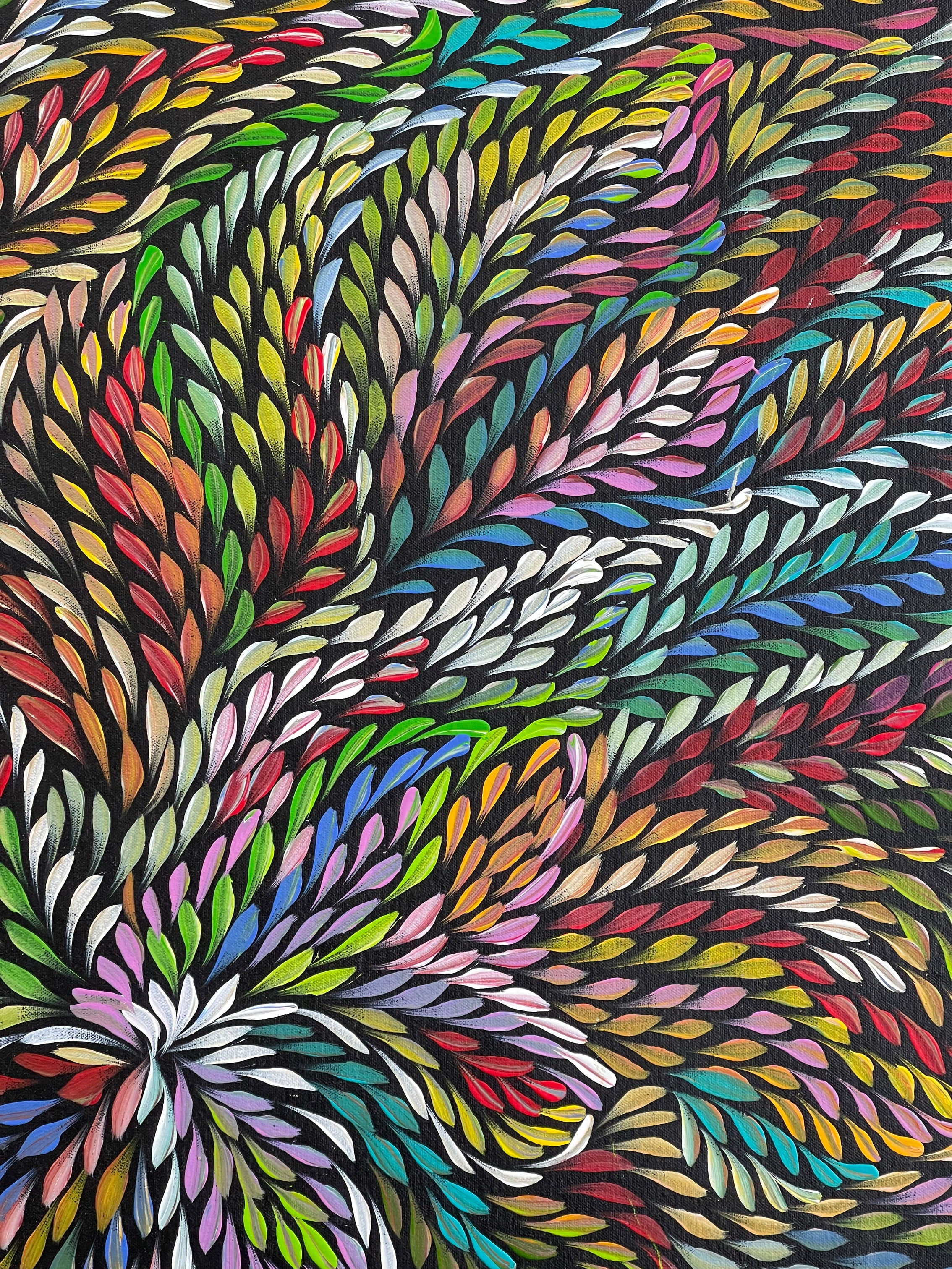 Caroline Numina - Bush Medicine Leaves .62-1