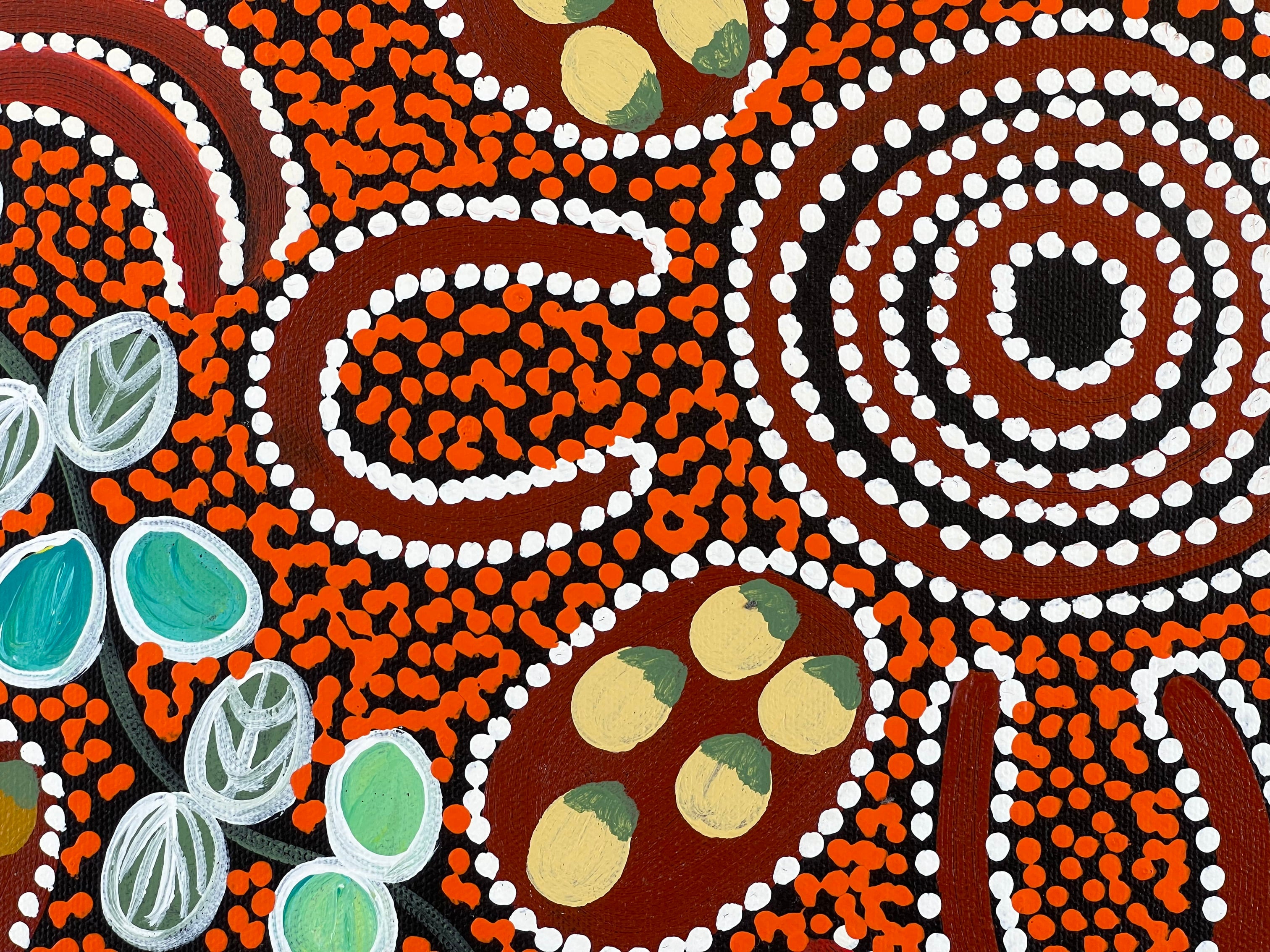 Lanita Numina - Bush Tucker - 37x51cm *Stretched ready to hang* .89-5